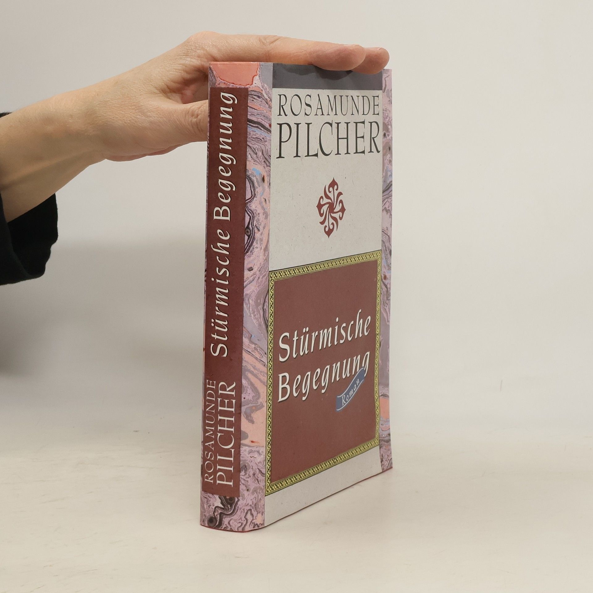 Rosamunde Pilcher Strürmische Begegnung