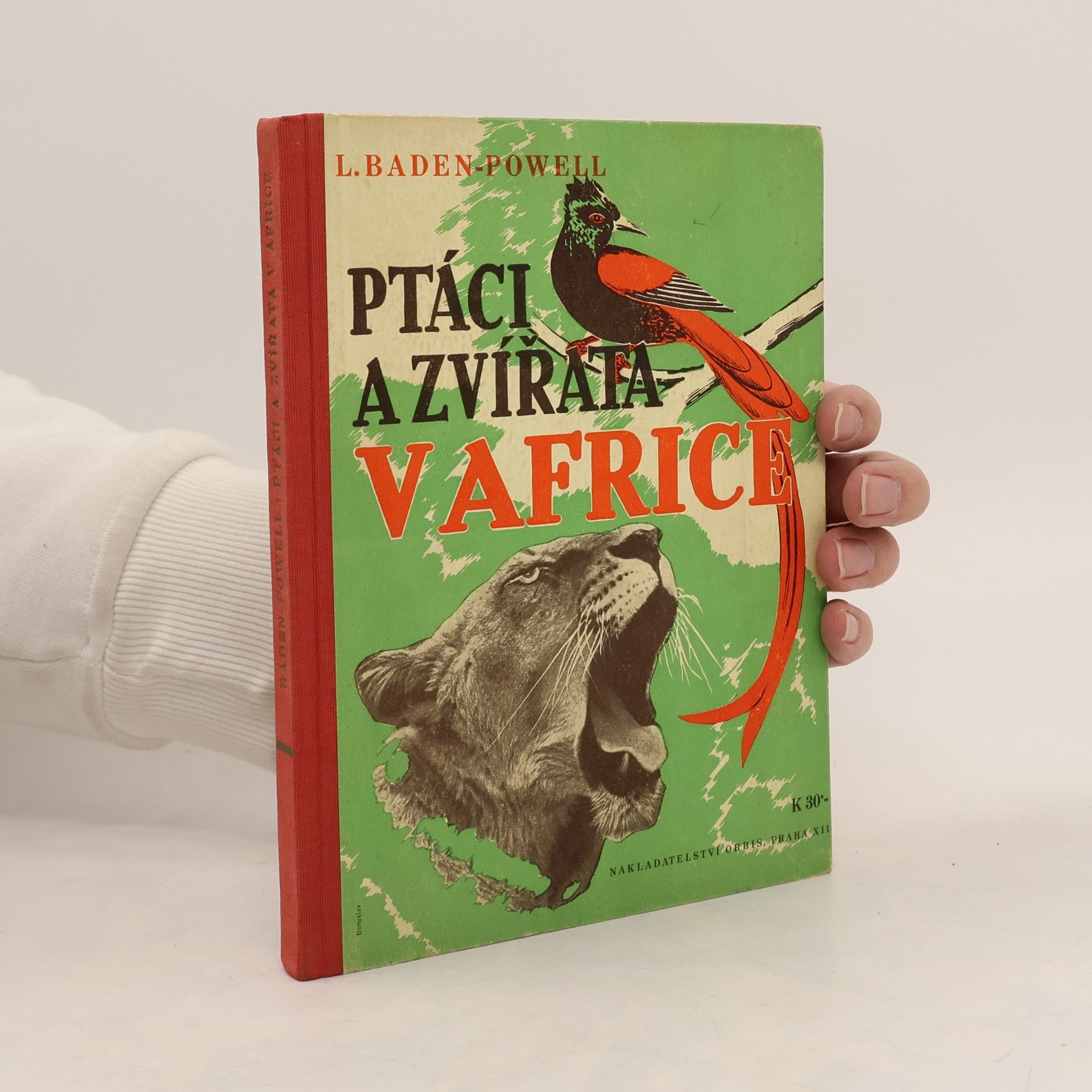 Baden Henry Baden-Powell Ptáci a zvířata v Africe