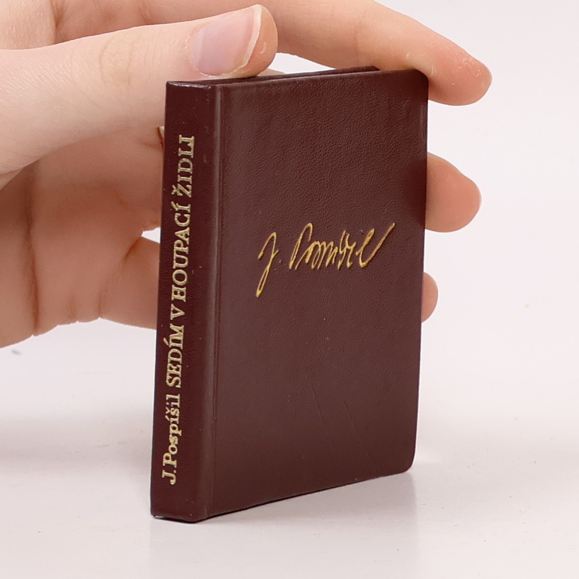 Jaroslav Pospíšil Sedím v houpací židli