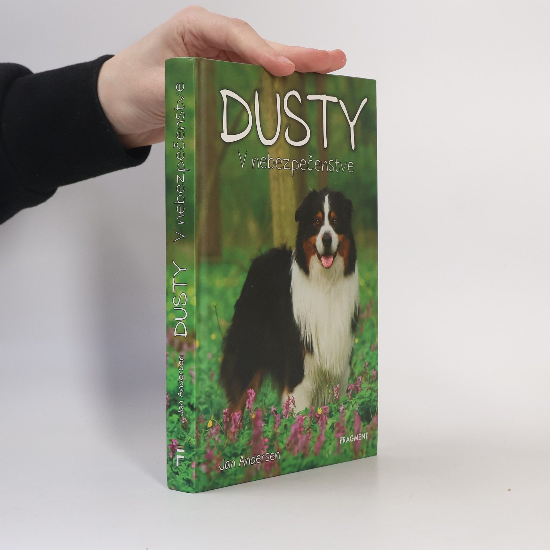 Wolfram Hänel Dusty: V nebezpečenstve