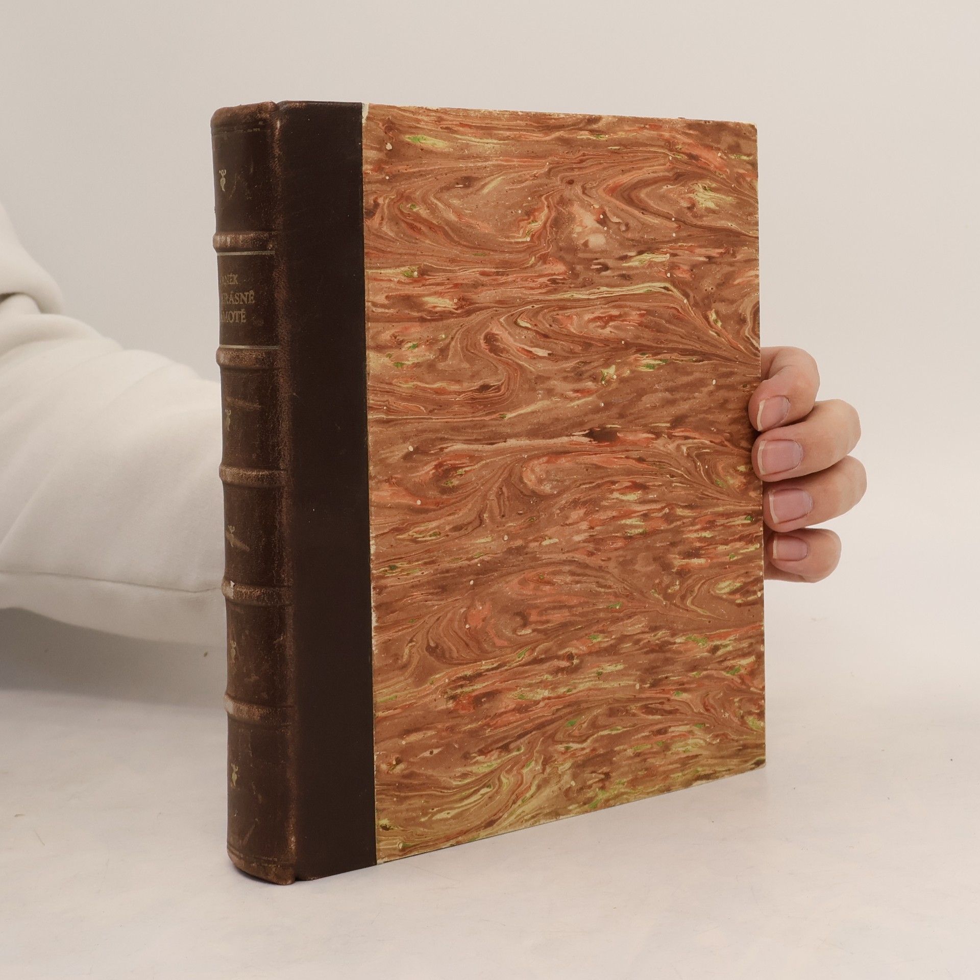 František Bernard Vaněk Na krásné samotě