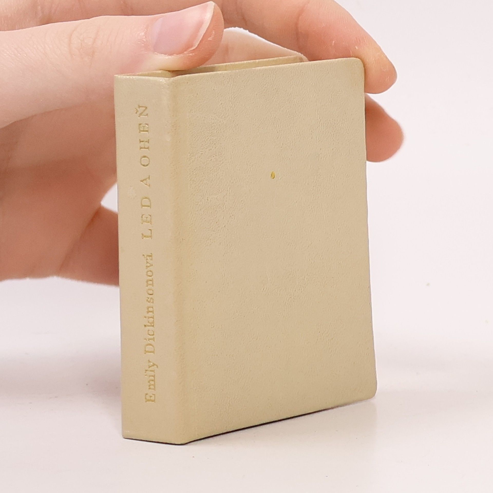 Emily Dickinson Led a oheň