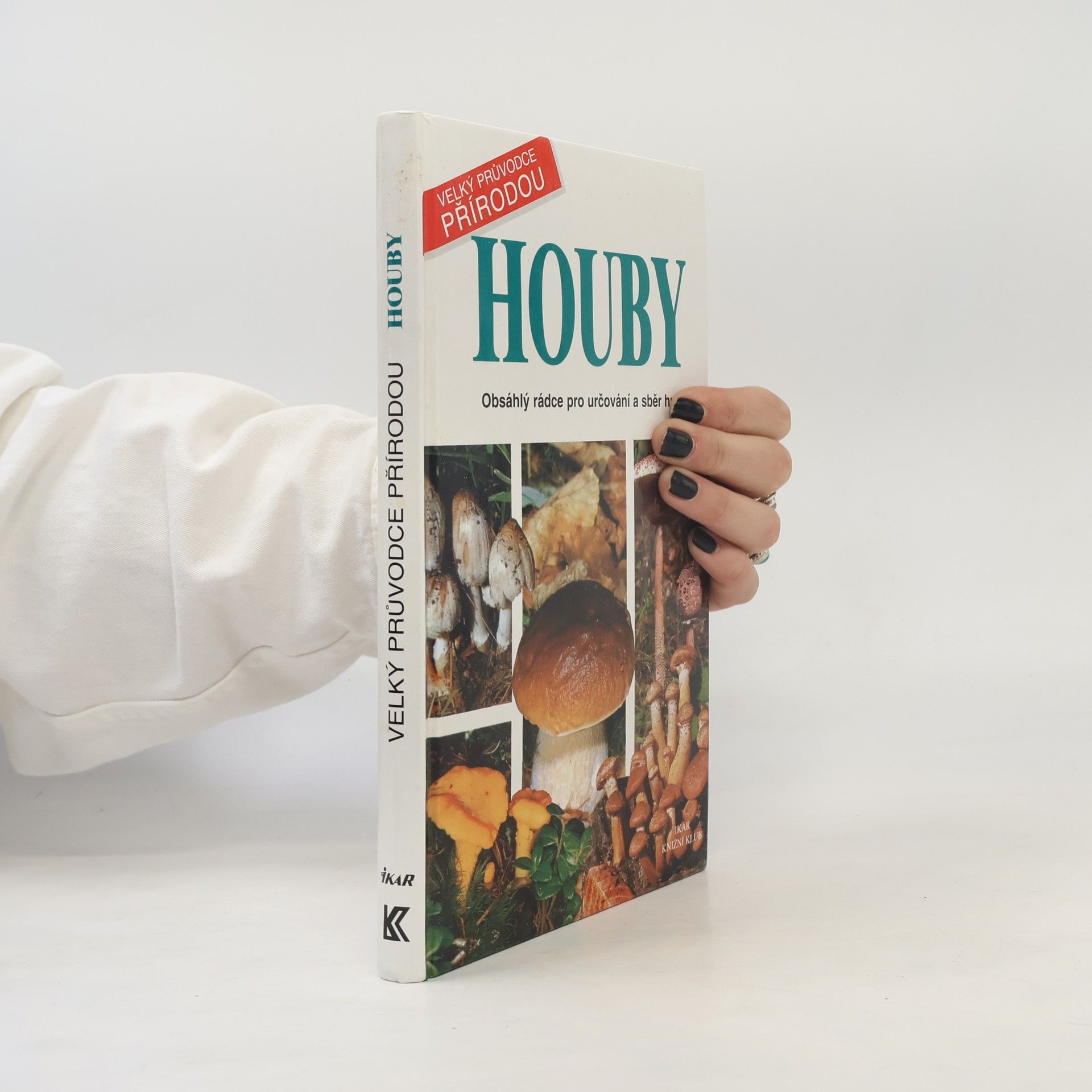 Laura Maggiora Houby. Obsáhlý rádce pro určování a sběr hub