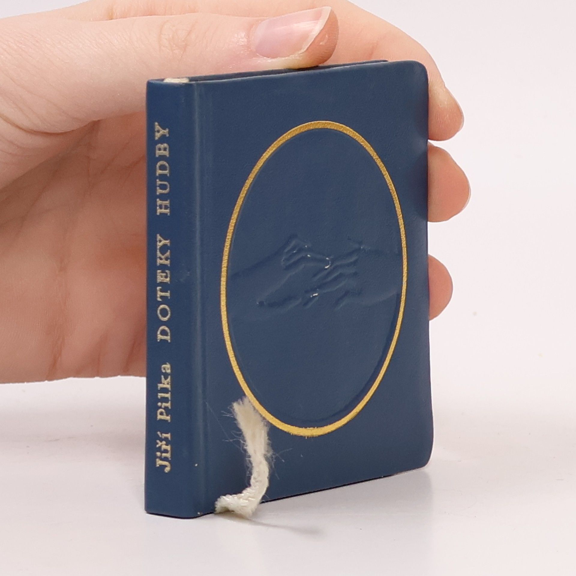 Jiří Pilka Doteky hudby