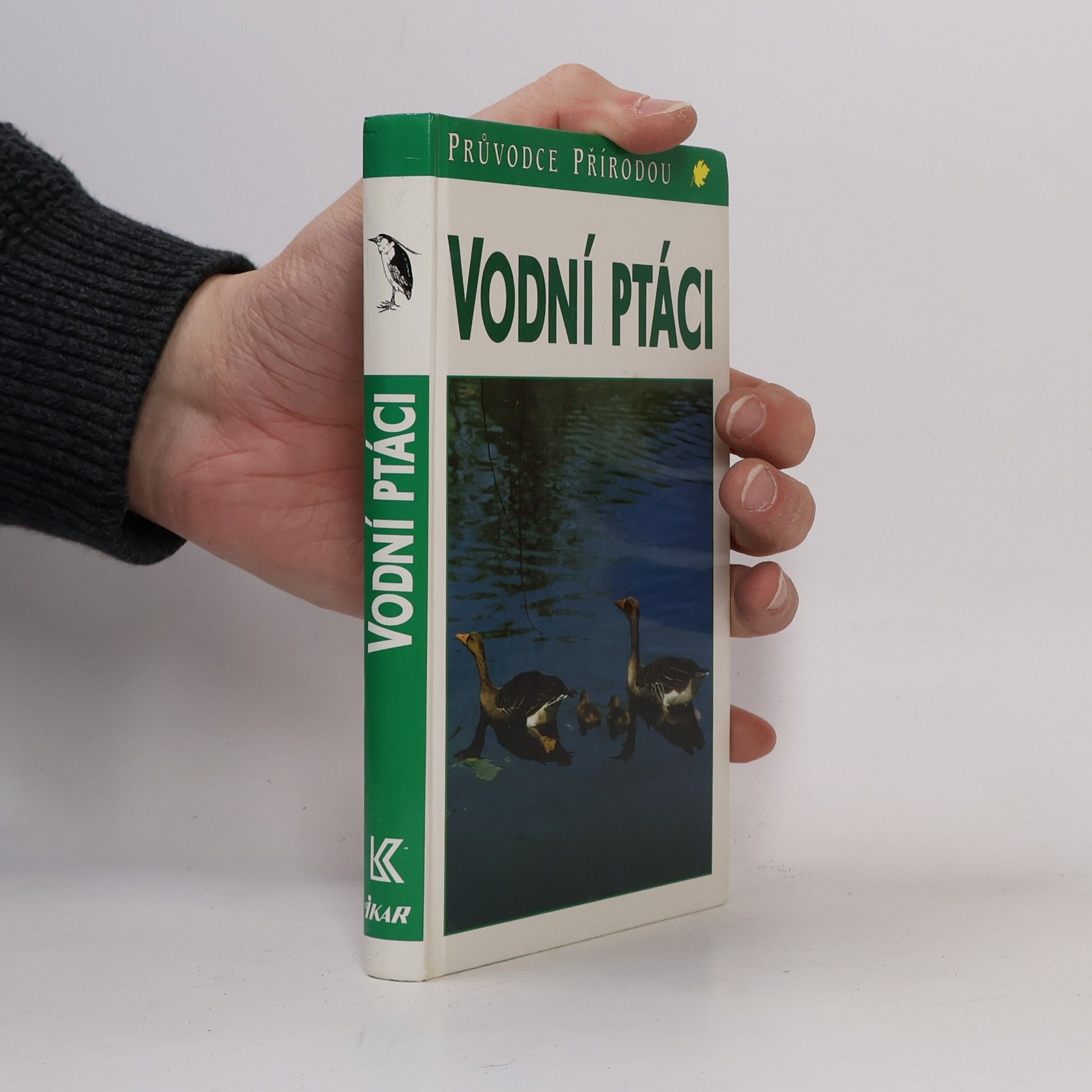 Frieder Sauer Vodní ptáci