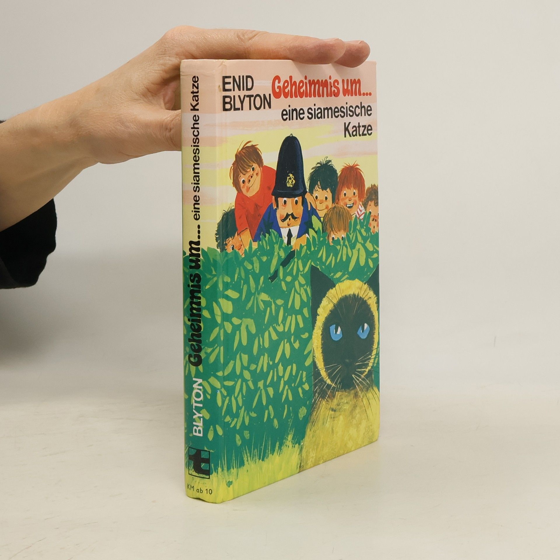 Enid Blyton Geheimnis um ... eine siamesische Katze