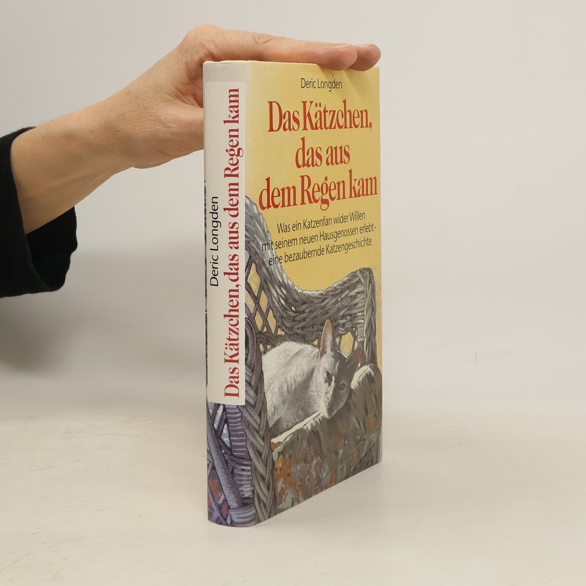 Deric Longden Das Kätzchen, das aus dem Regen kam