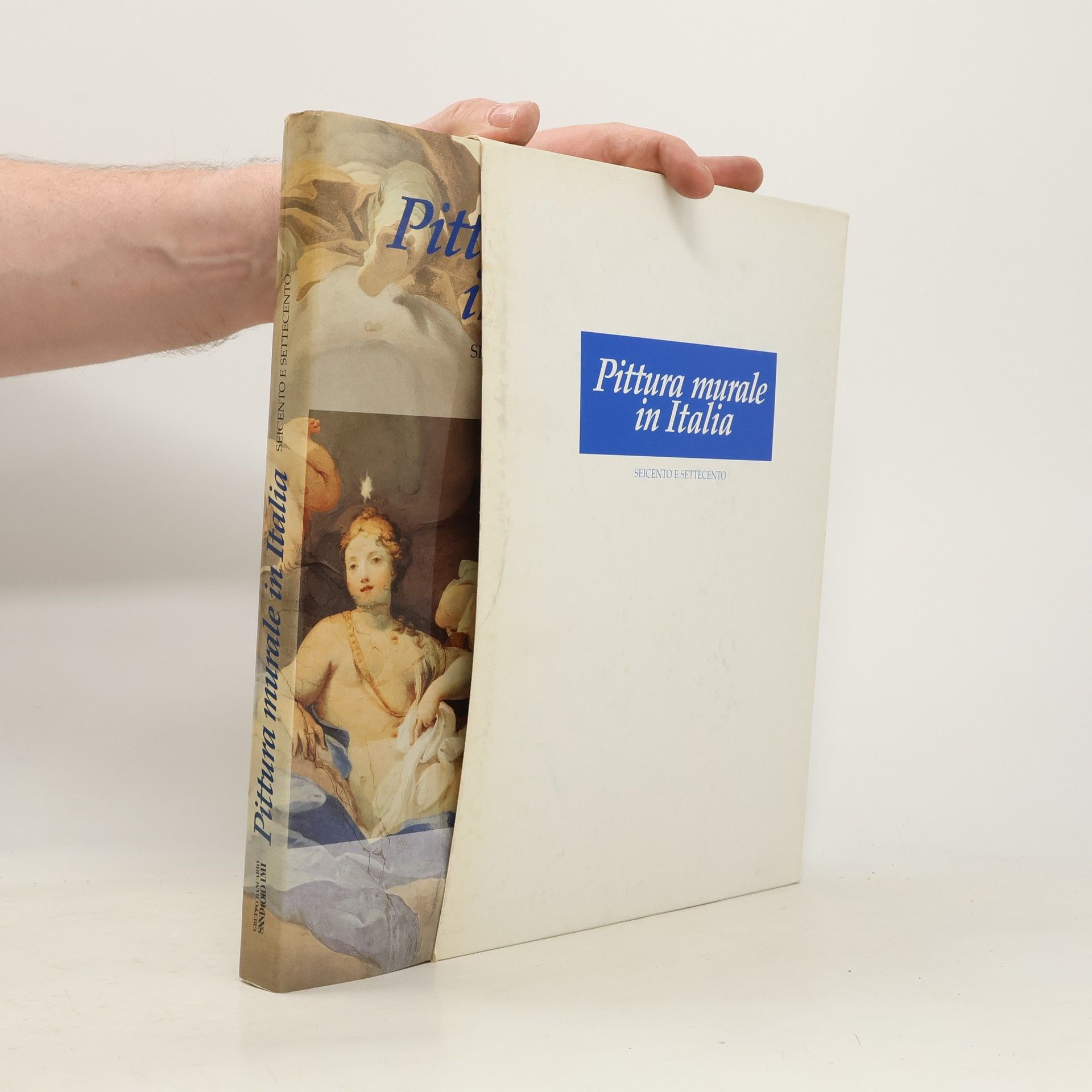 Kolektiv autorů Pittura murale in Italia