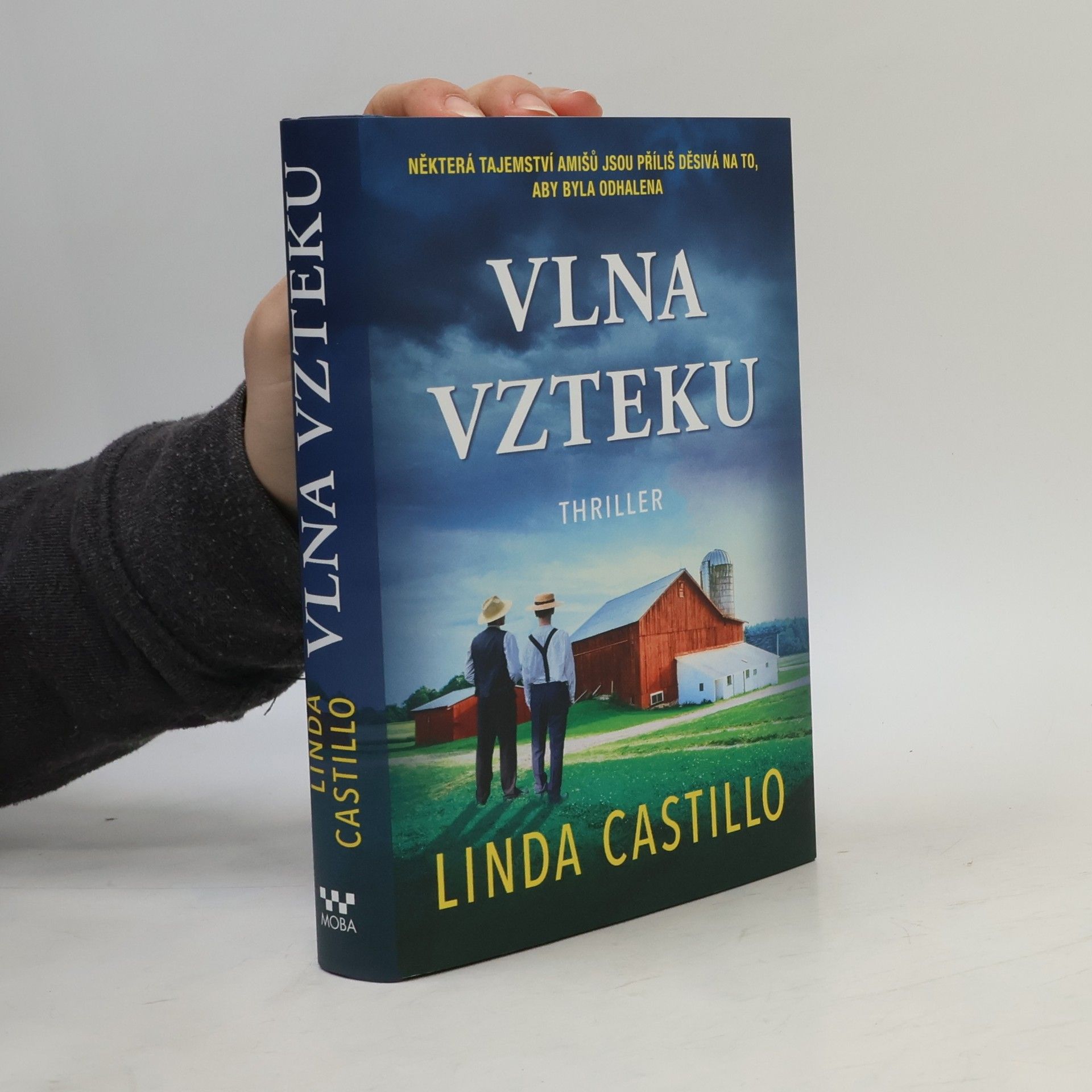 Linda Castillo Vlna vzteku