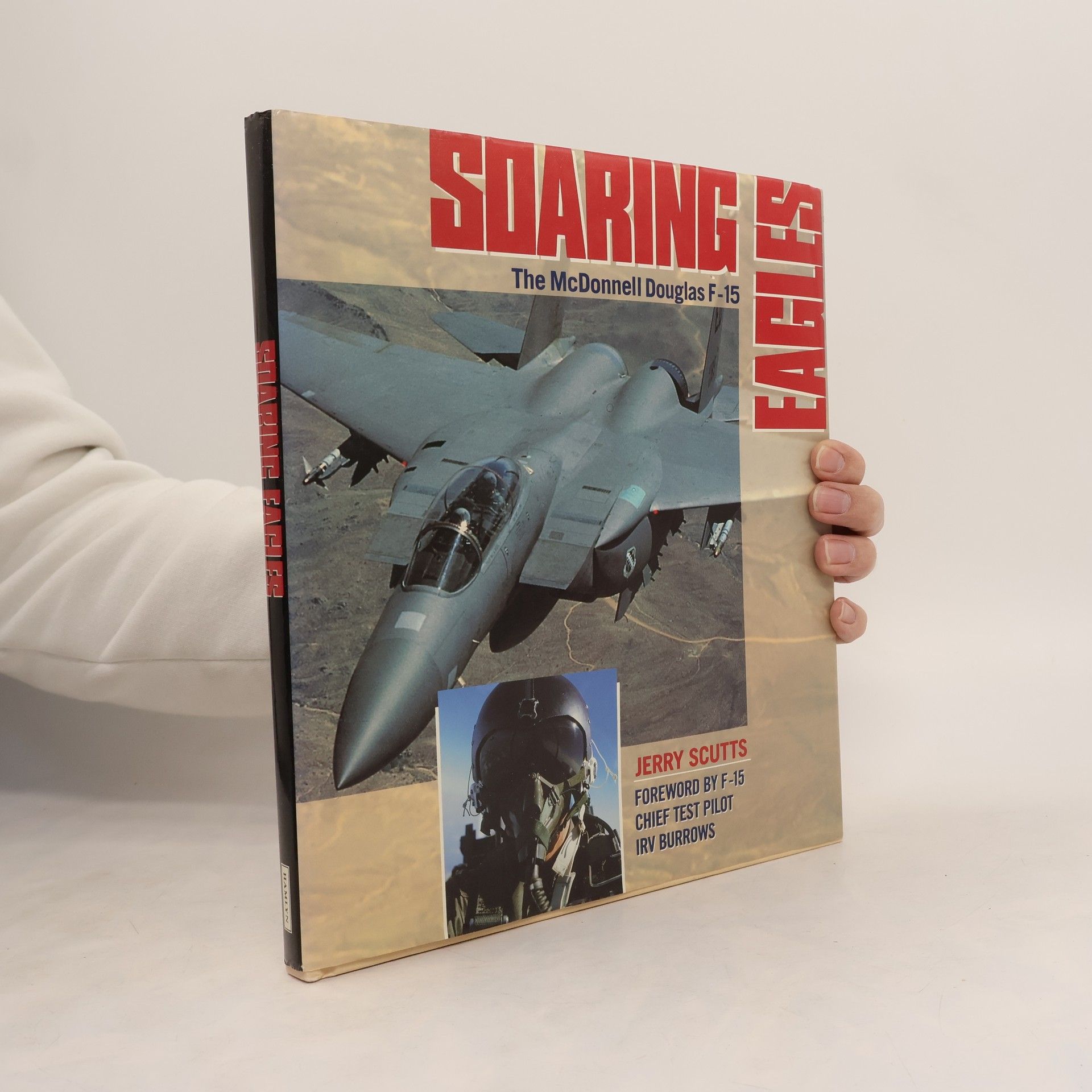 Jerry Scutts Soaring Eagles