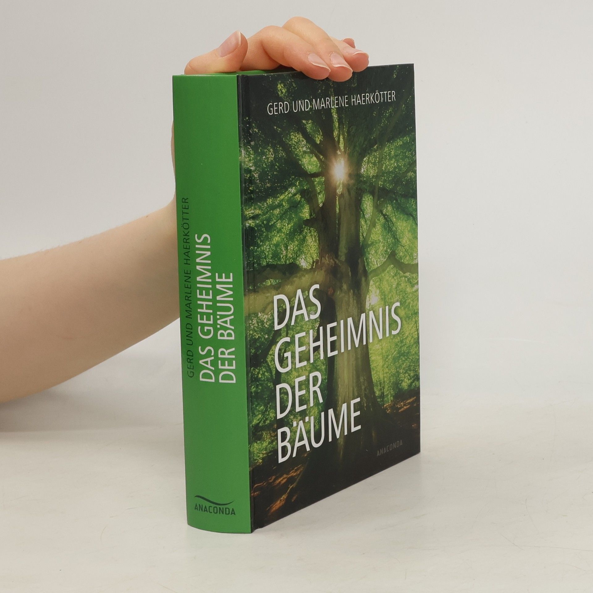 Das Geheimnis der Bäume