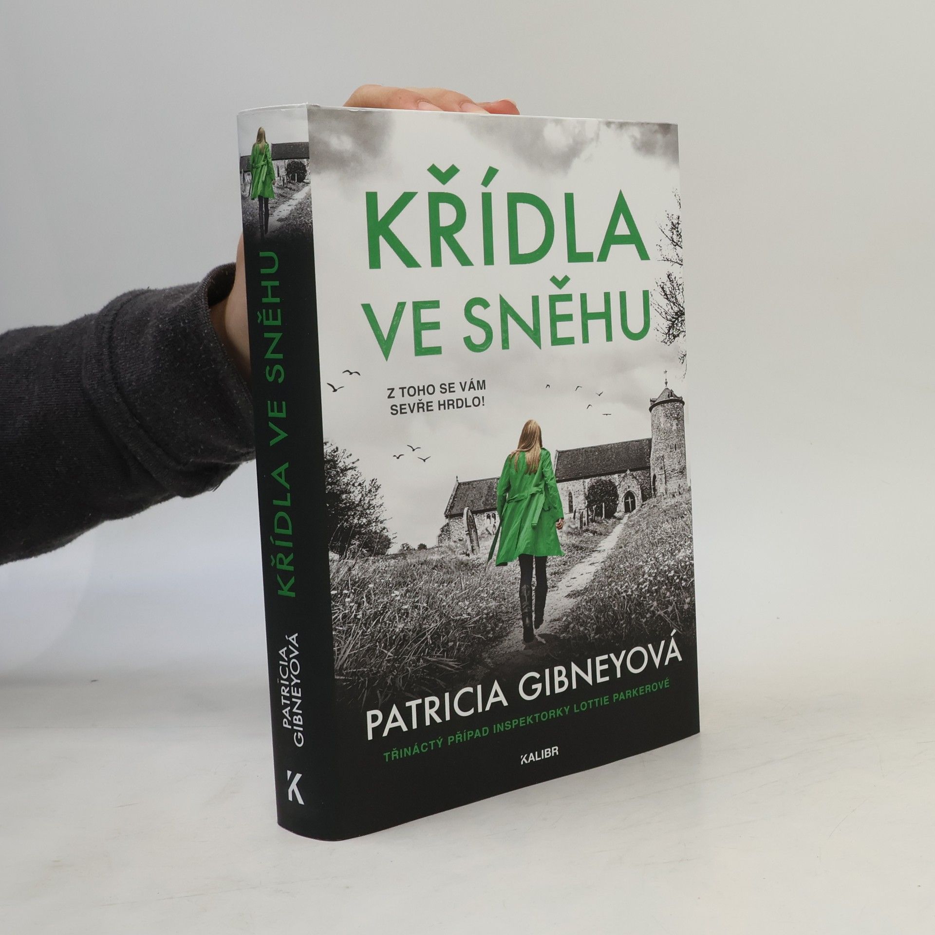 Patricia Gibney Křídla ve sněhu