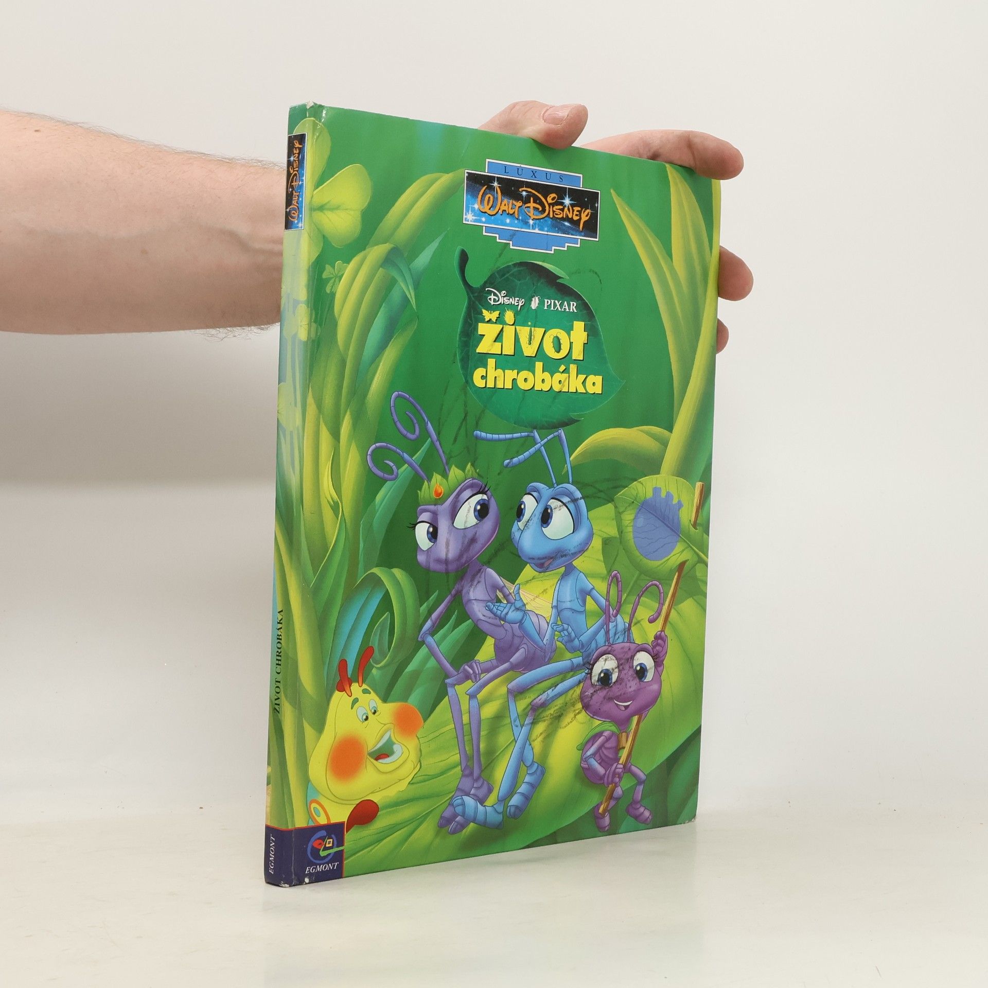 Autorenkollektiv Život chrobáka