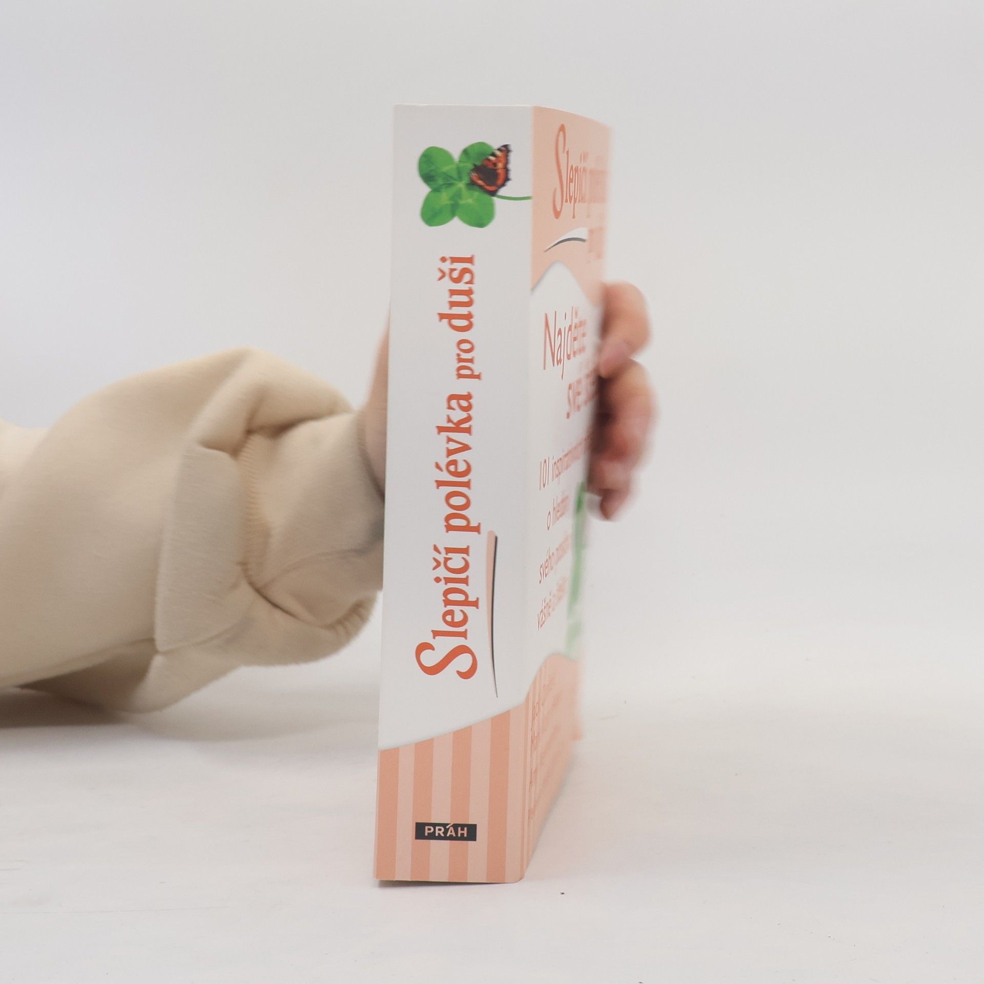 Jack Canfield Slepičí polévka pro duši