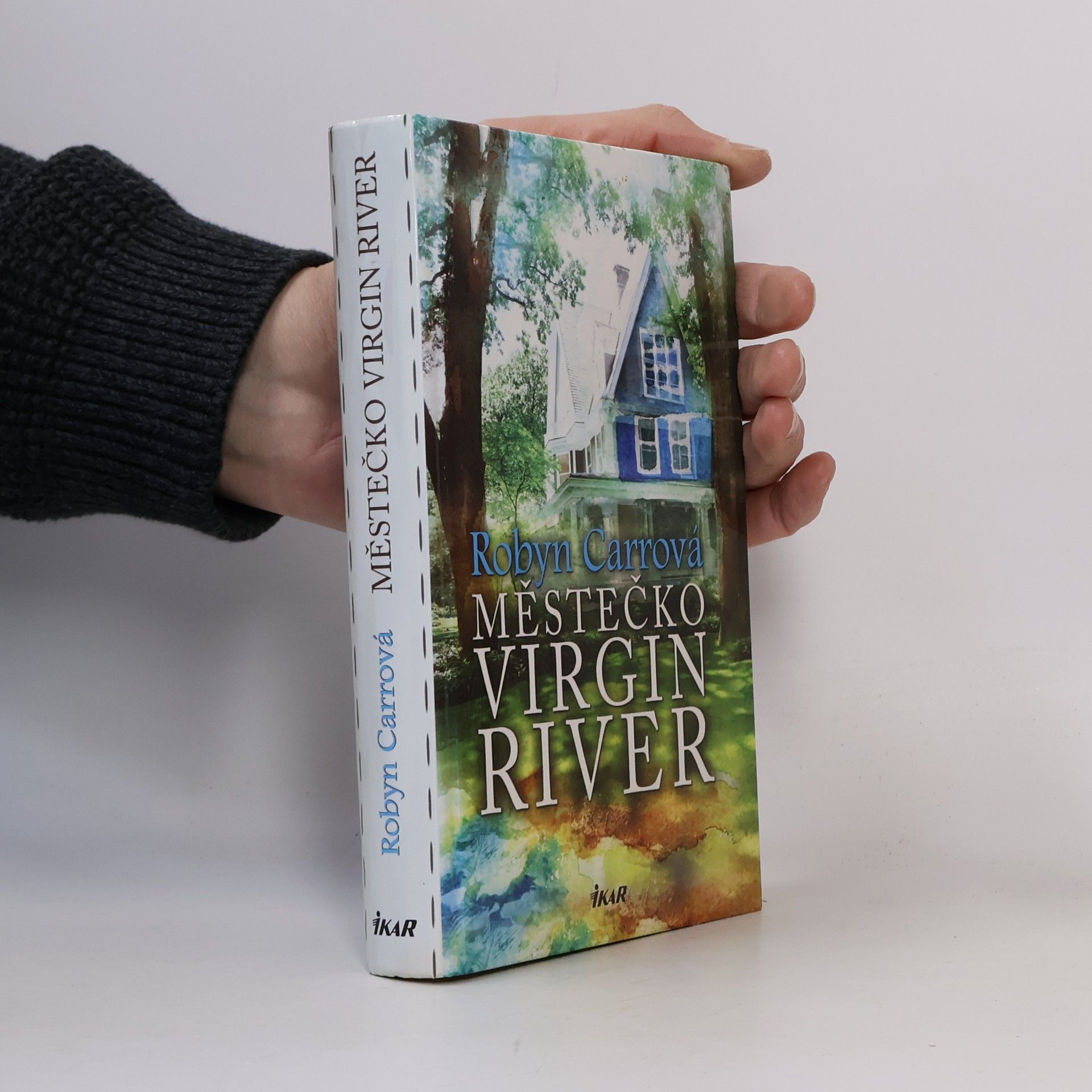 Robyn Carr Městečko Virgin River