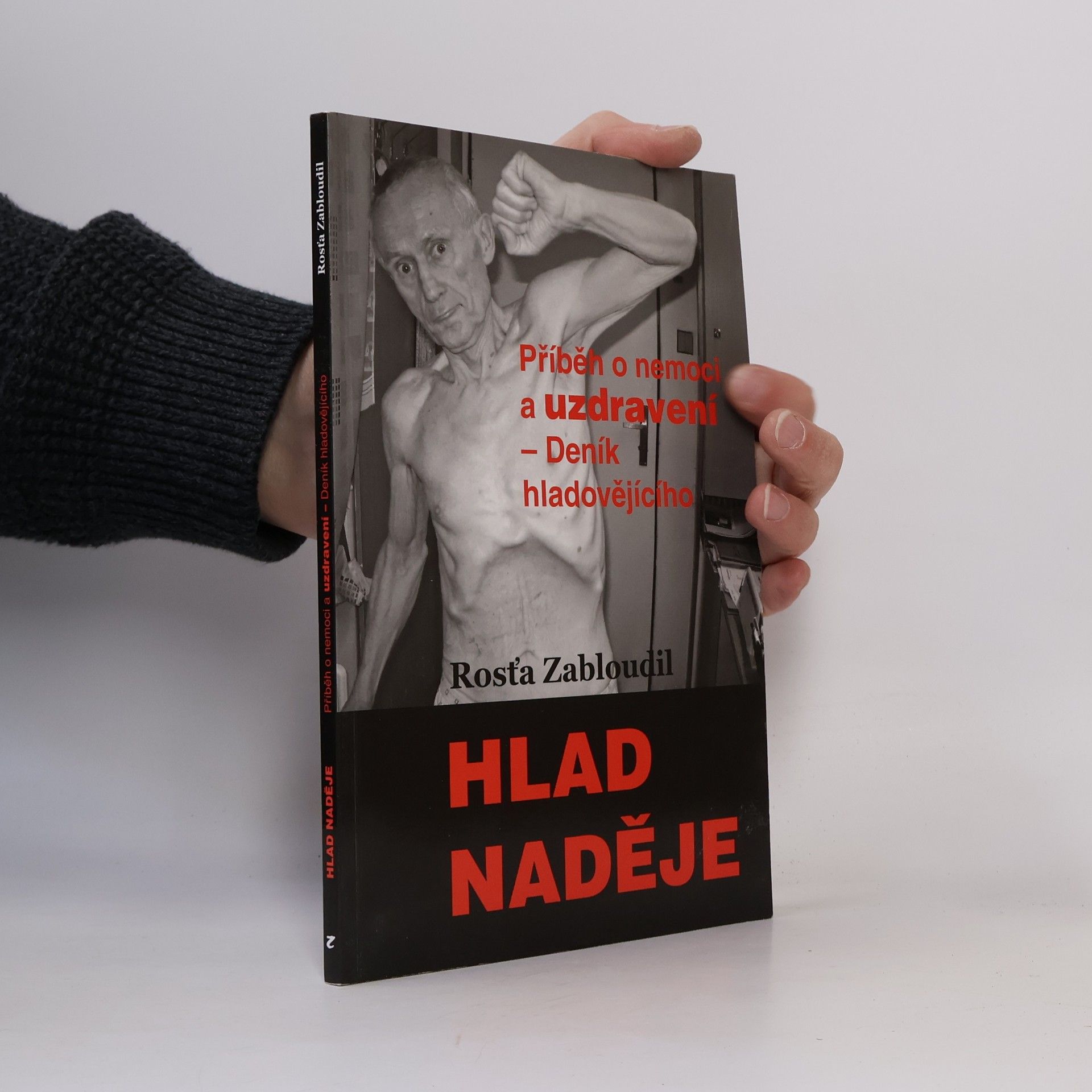 Rostislav Zabloudil Hlad naděje. Příběh o nemoci a uzdravení – Deník hladovějícího