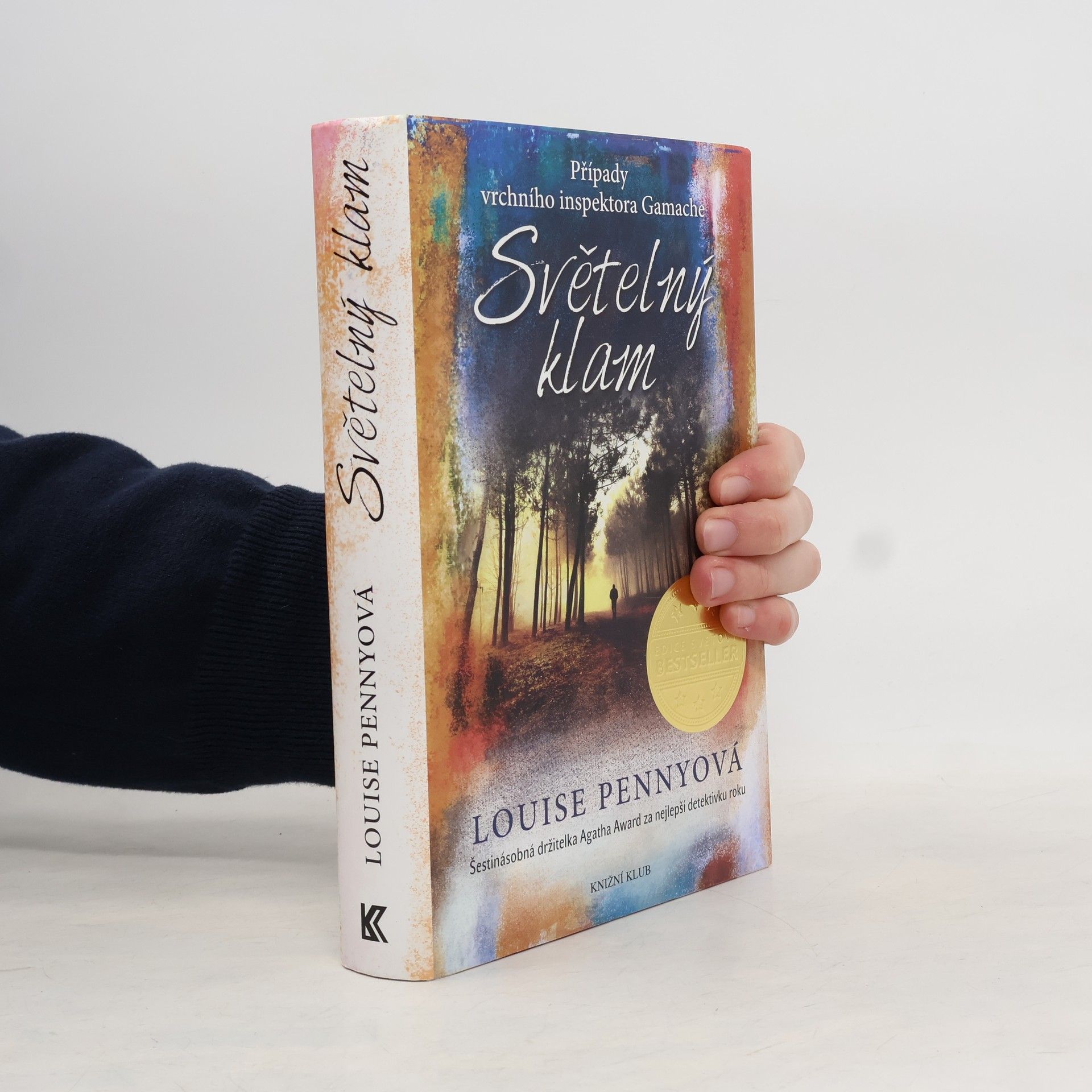 Louise Penny Světelný klam