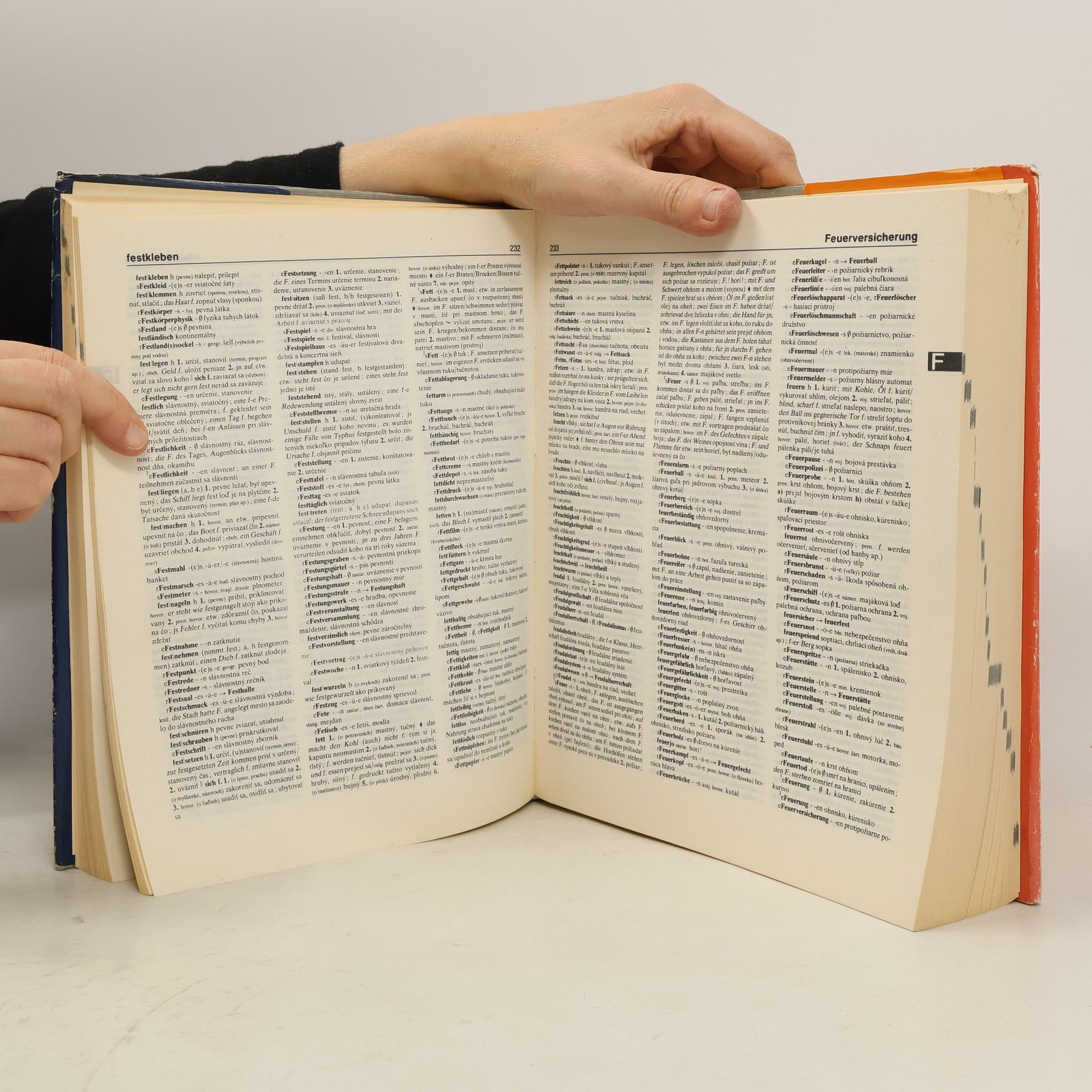 Mária Čierna Nemecko-slovenský slovník. Deutsch-slowakisches Wörterbuch