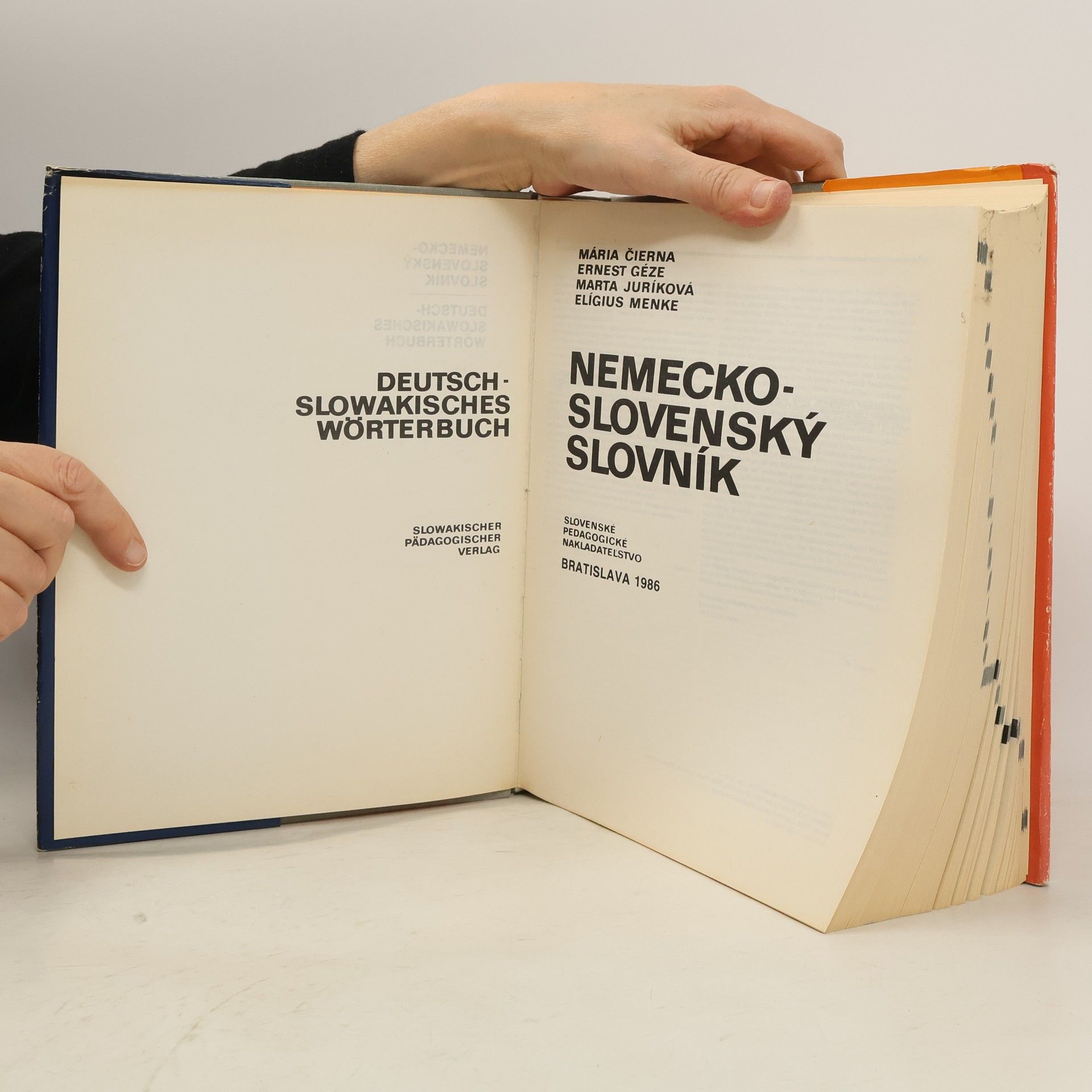 Mária Čierna Nemecko-slovenský slovník. Deutsch-slowakisches Wörterbuch