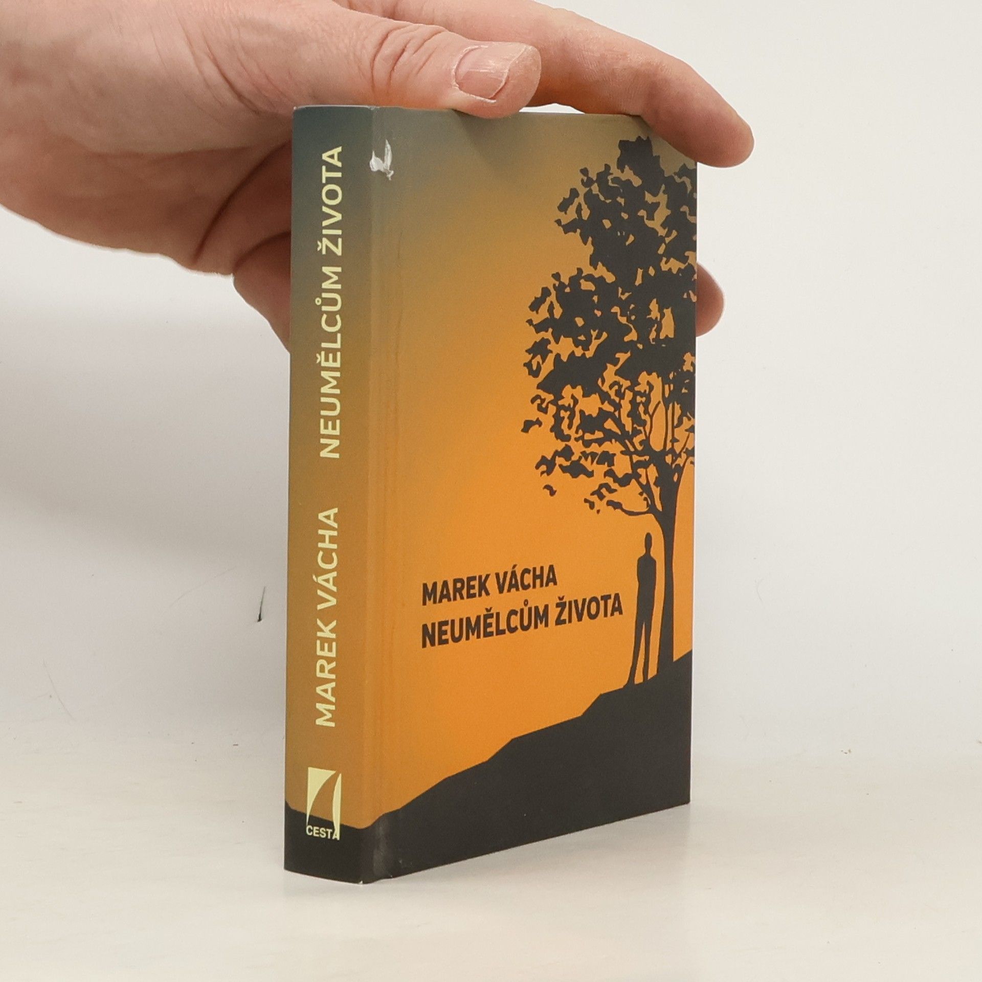 Marek Vácha Neumělcům života