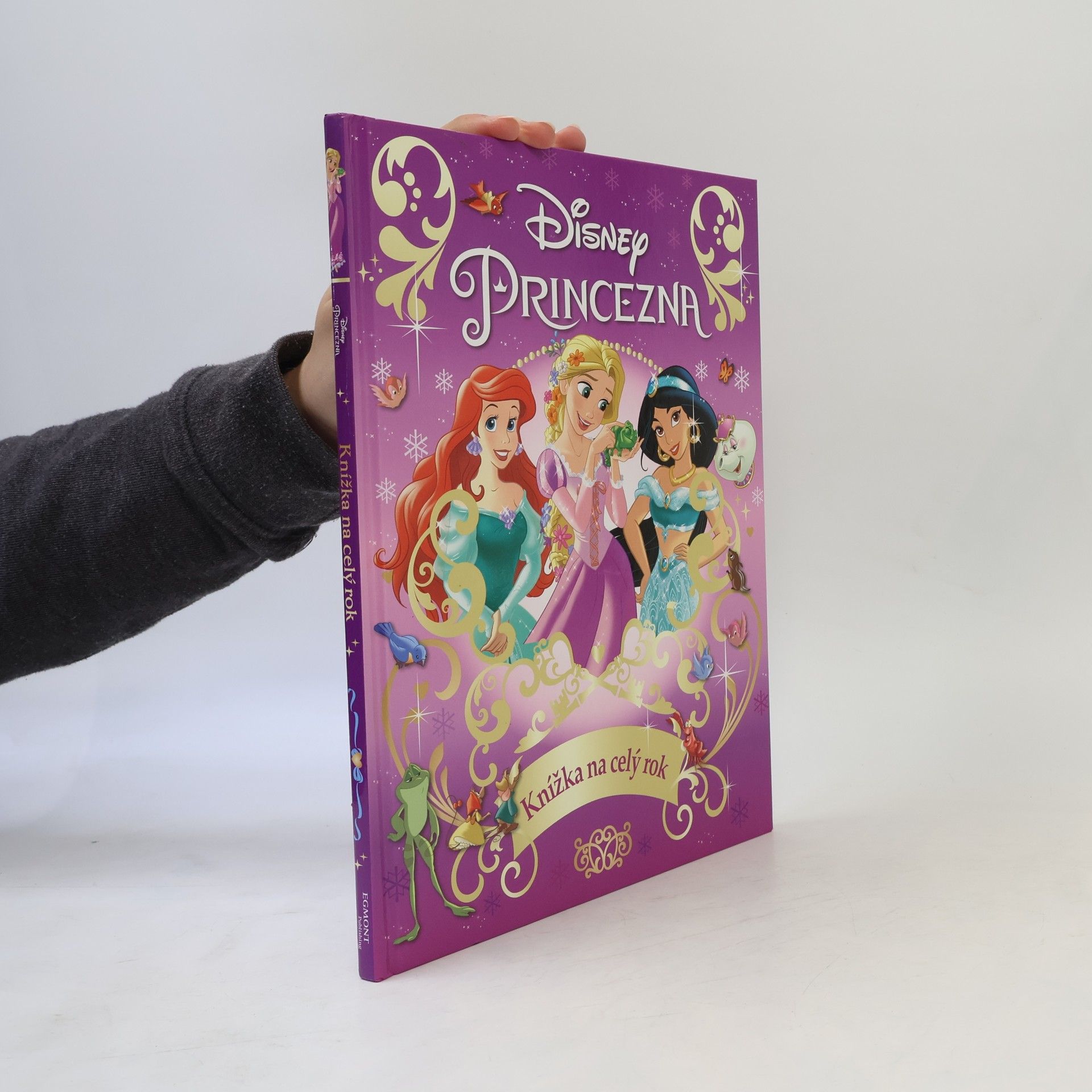 Walt Disney Princezna - Knížka na celý rok