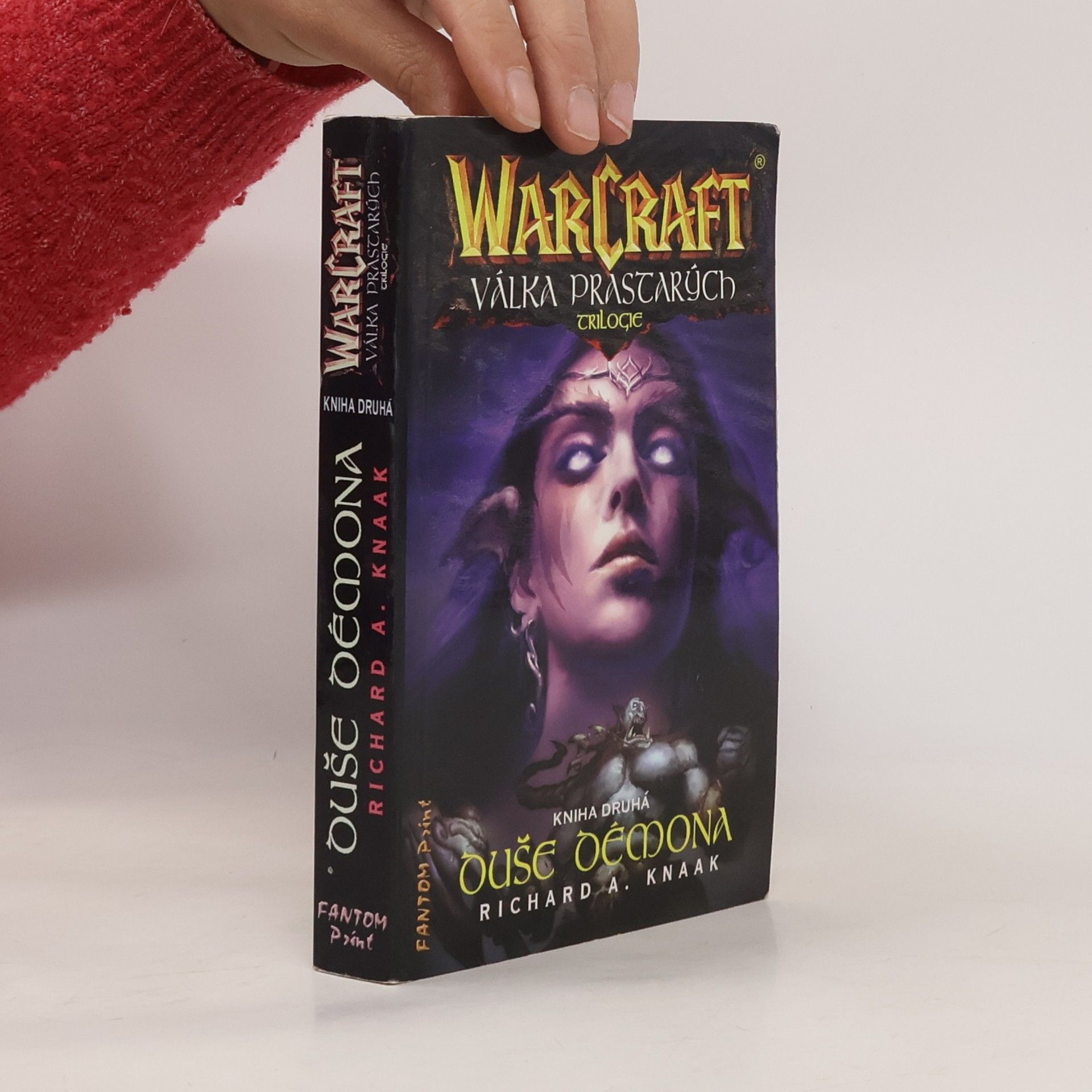 WarCraft. Duše démona