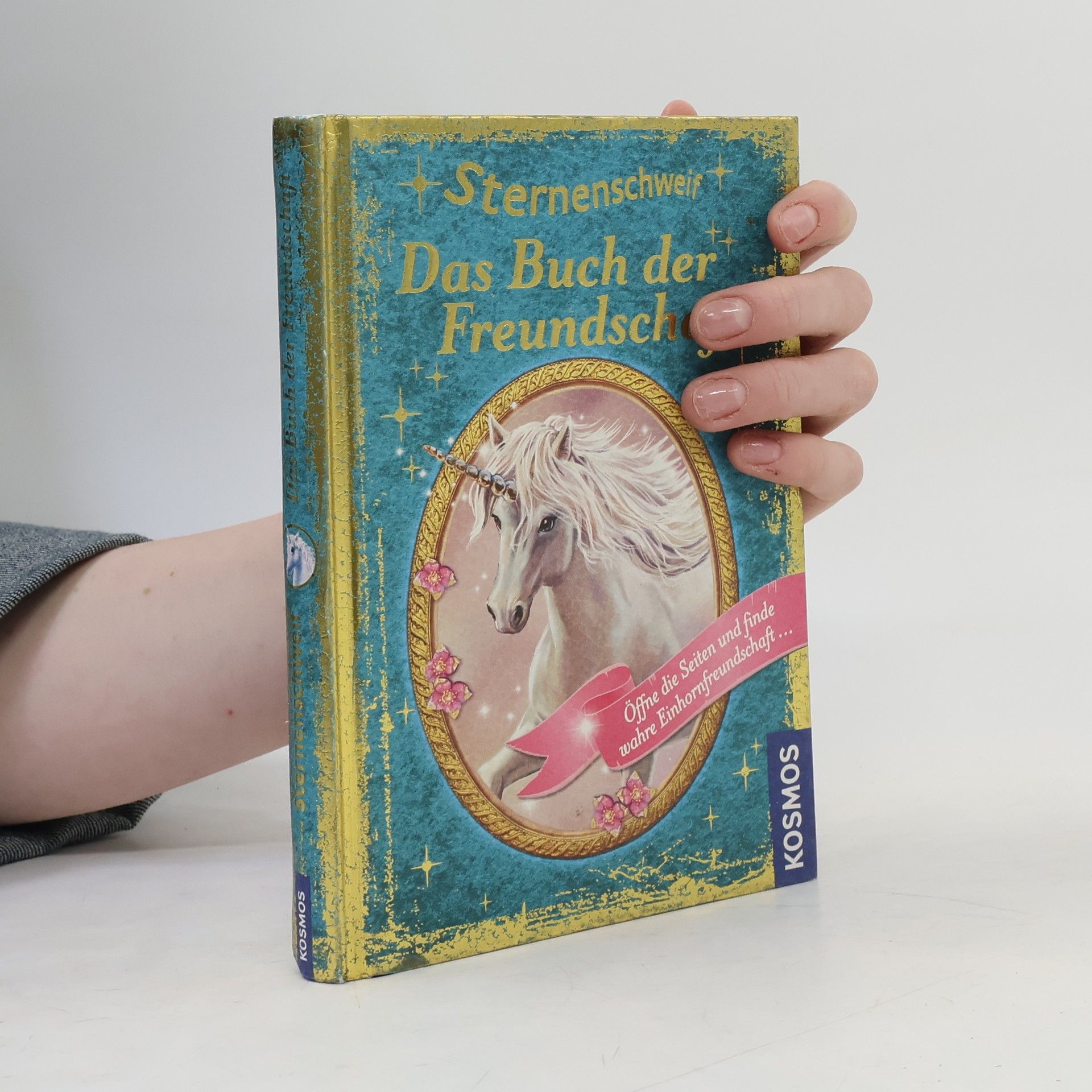 Linda Chapman Sternenschweif. Das Buch der Ferundschaft