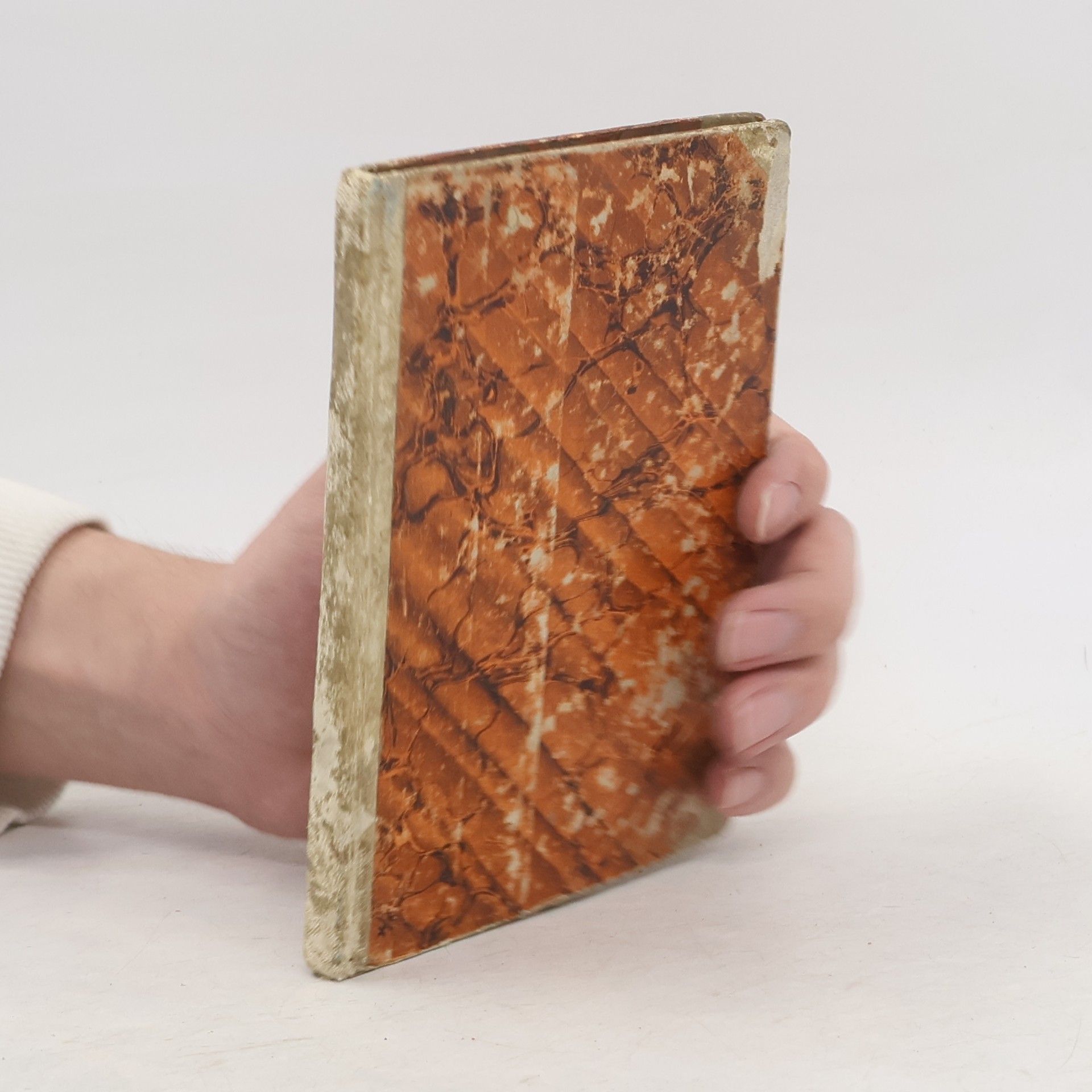 C. Th. B. Saal Die Cultur der Sommerlevkoyen und das Geheimniß ihrer Samenerziehung