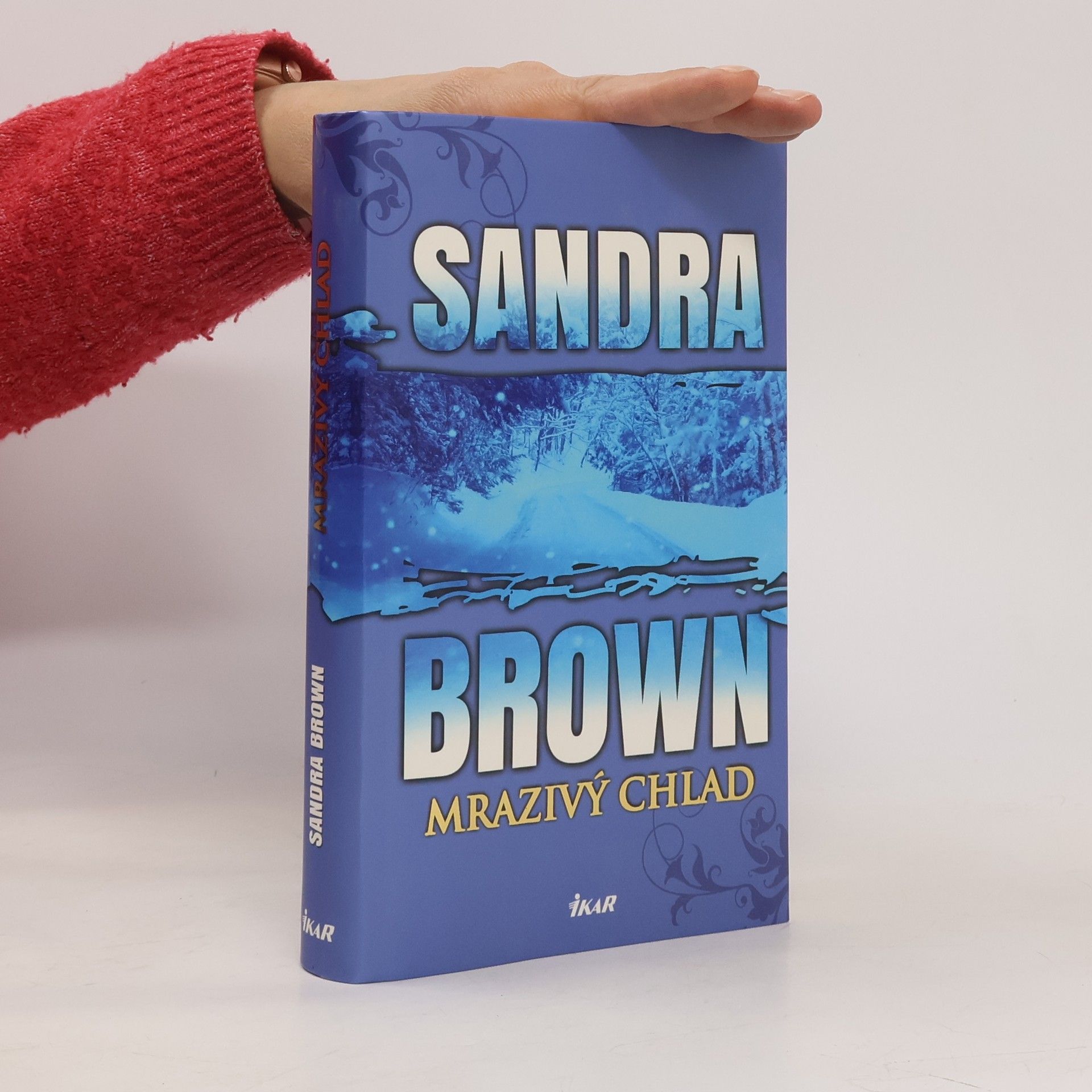 Sandra Brown Mrazivý chlad