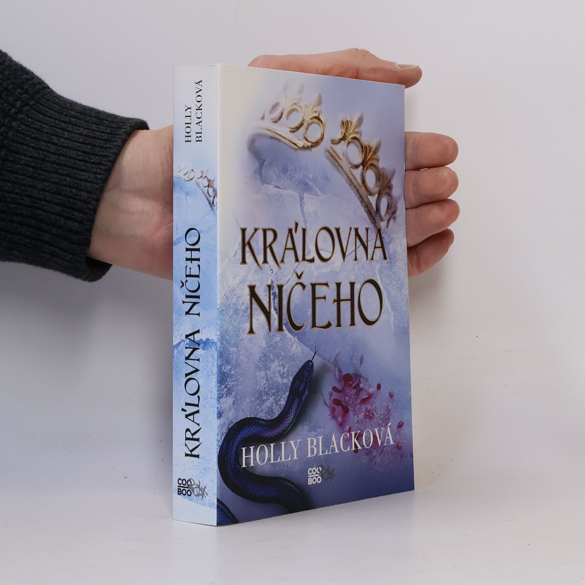 Holly Black Královna ničeho