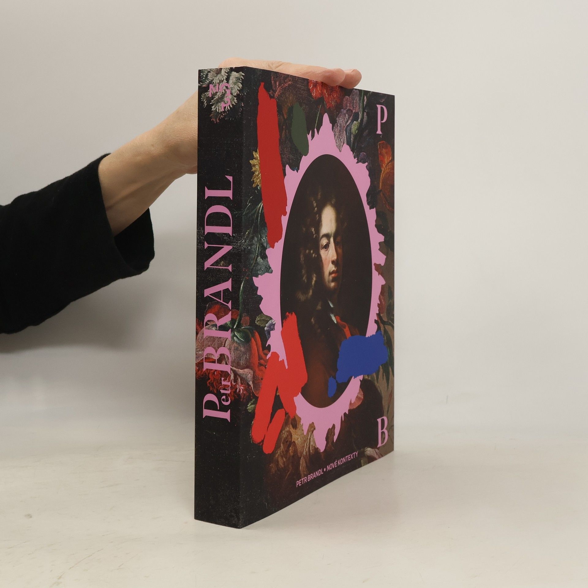 Andrea Rousová Steckerová Petr Brandl. Nové kontexty