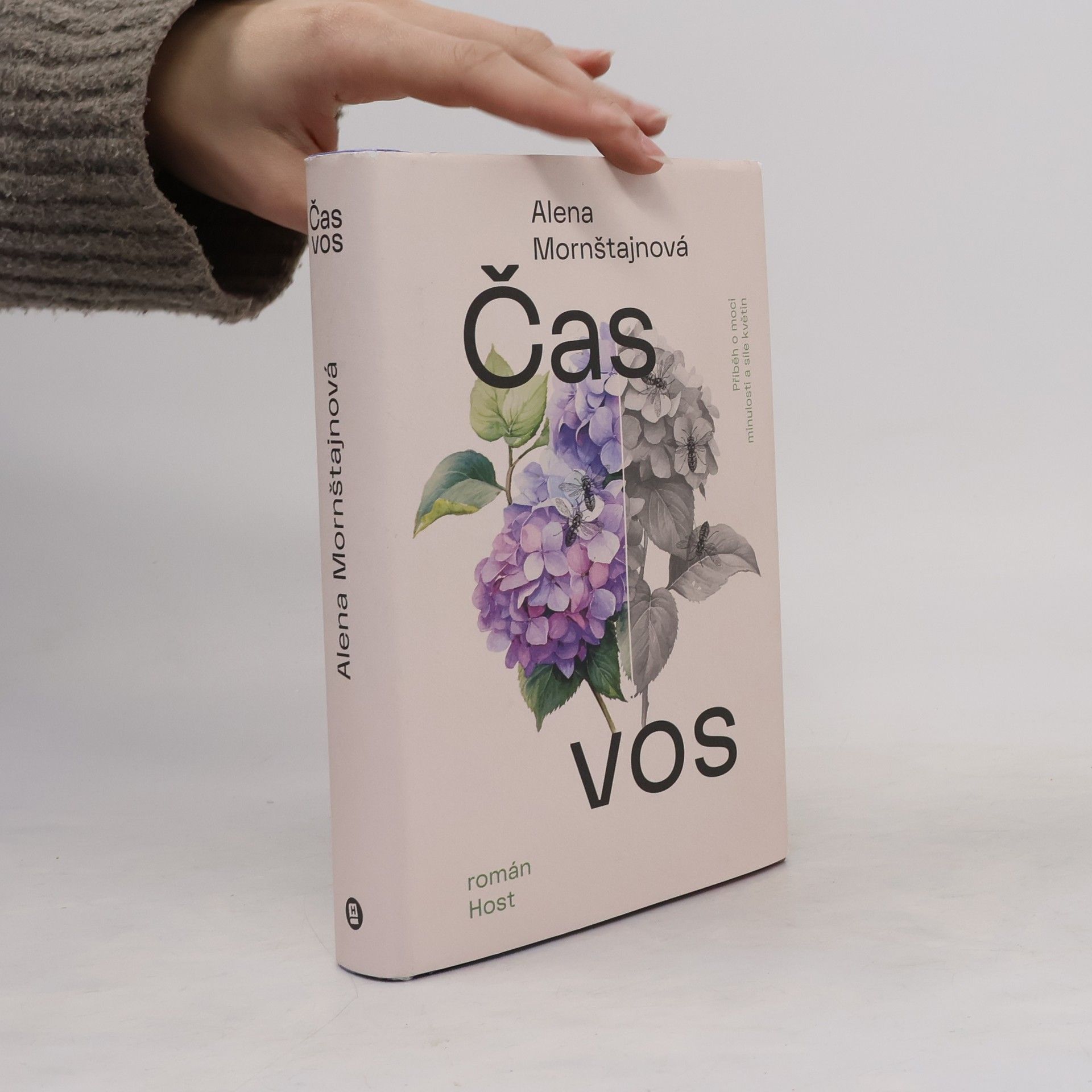 Alena Mornštajnová Čas vos