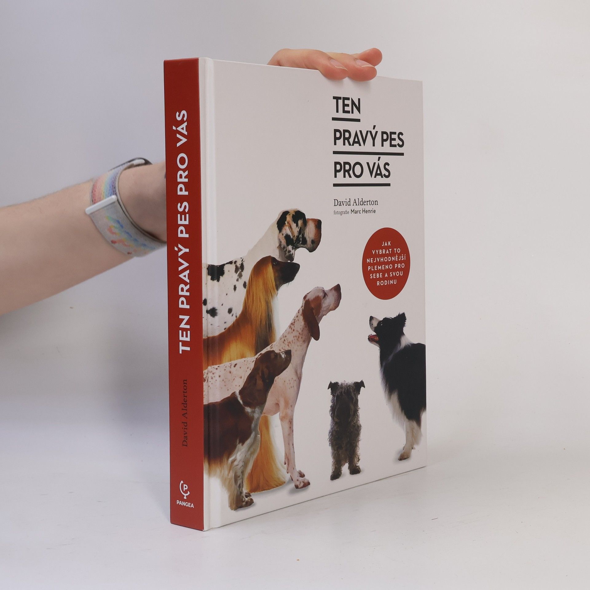 Ten pravý pes pro vás : jak vybrat to nejvhodnější plemeno pro sebe a svou rodinu