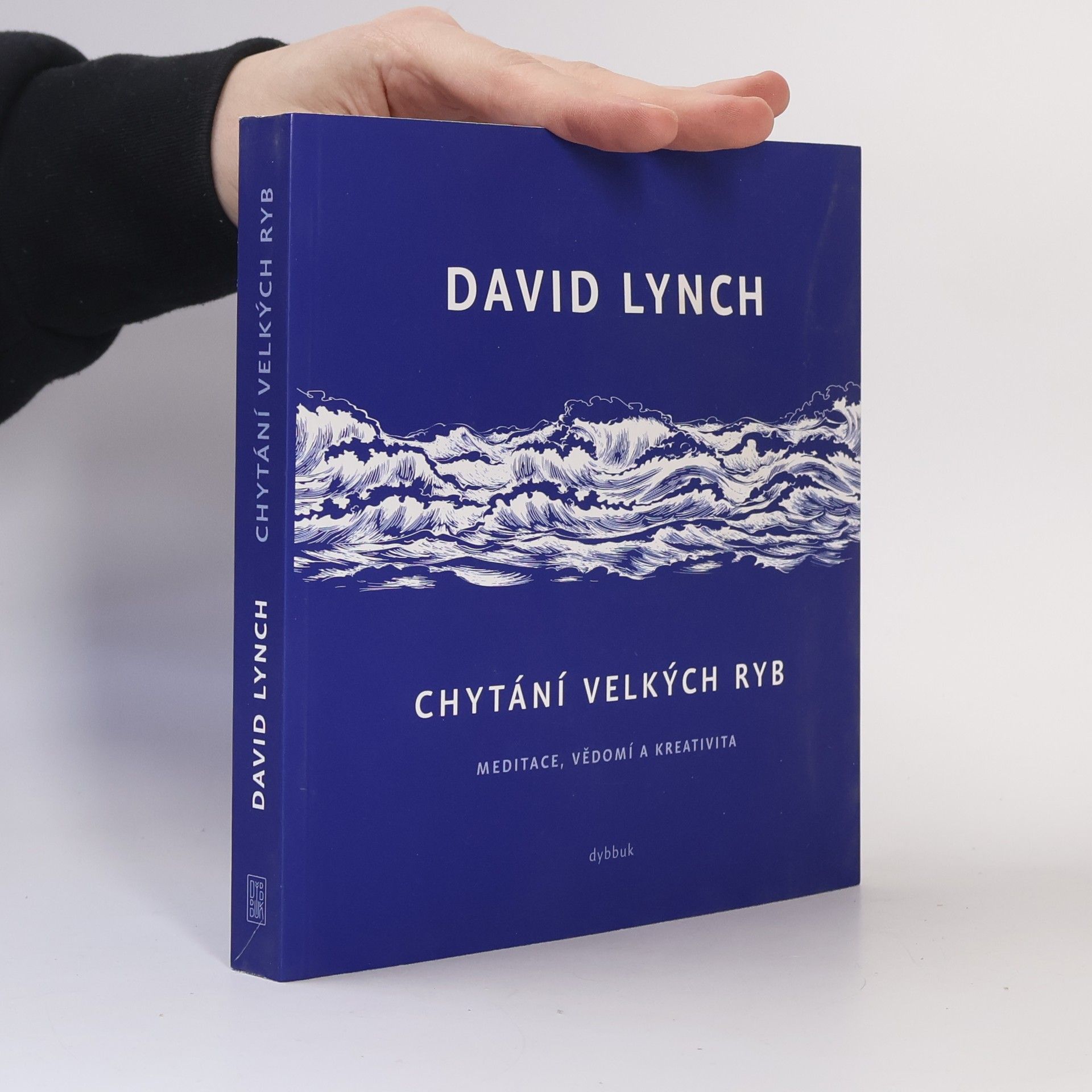 Chytání velkých ryb