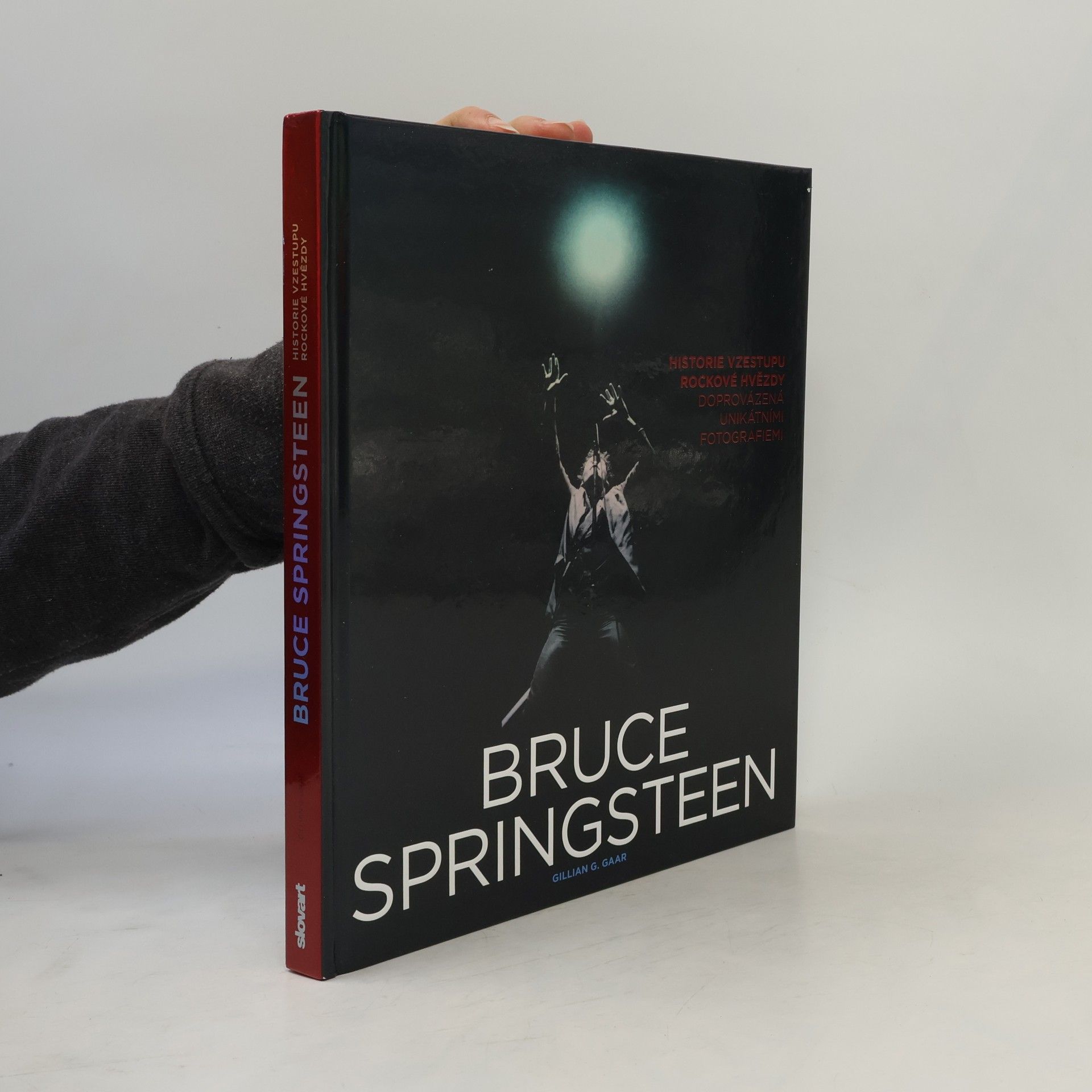 Gillian G. Gaar Bruce Springsteen
