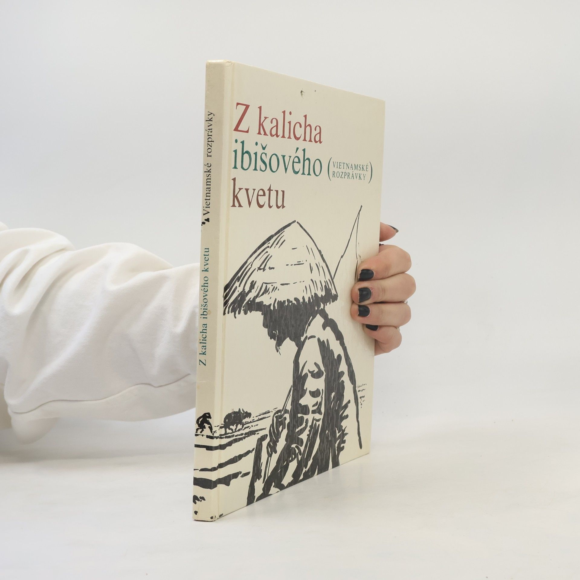 Autorenkollektiv Z kalicha ibišového kvetu