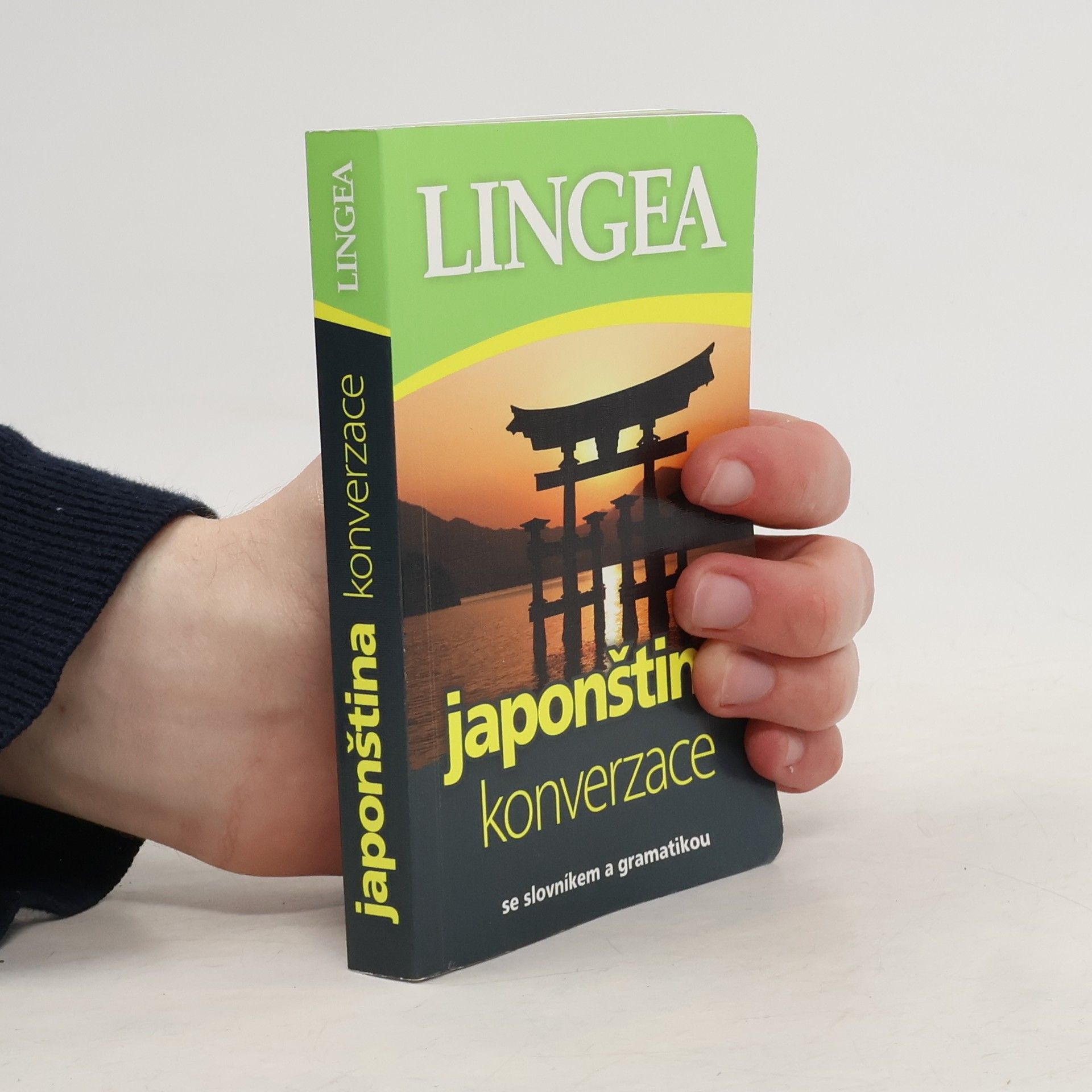Kolektív autorov Japonština konverzace