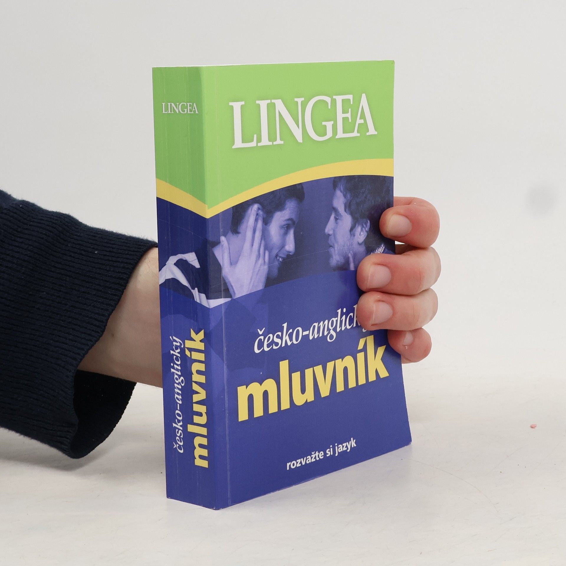 Autores varios Česko-anglický mluvník
