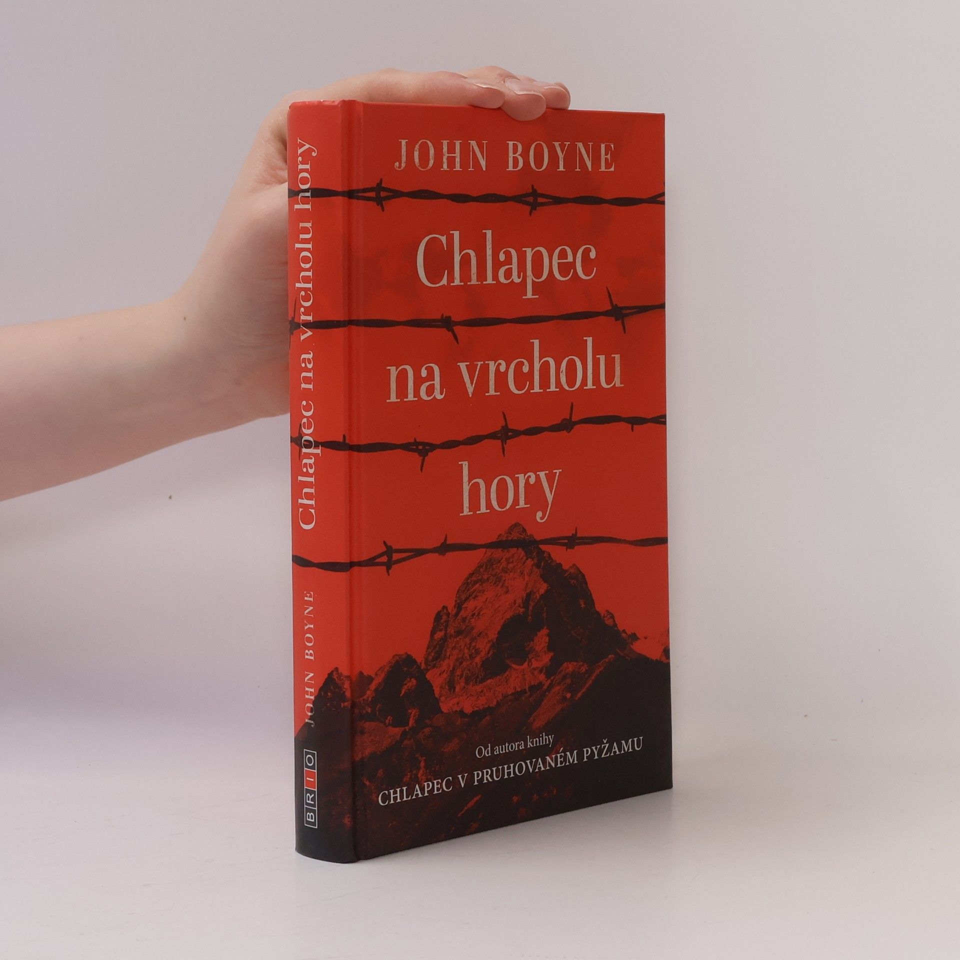 John Boyne Chlapec na vrcholu hory