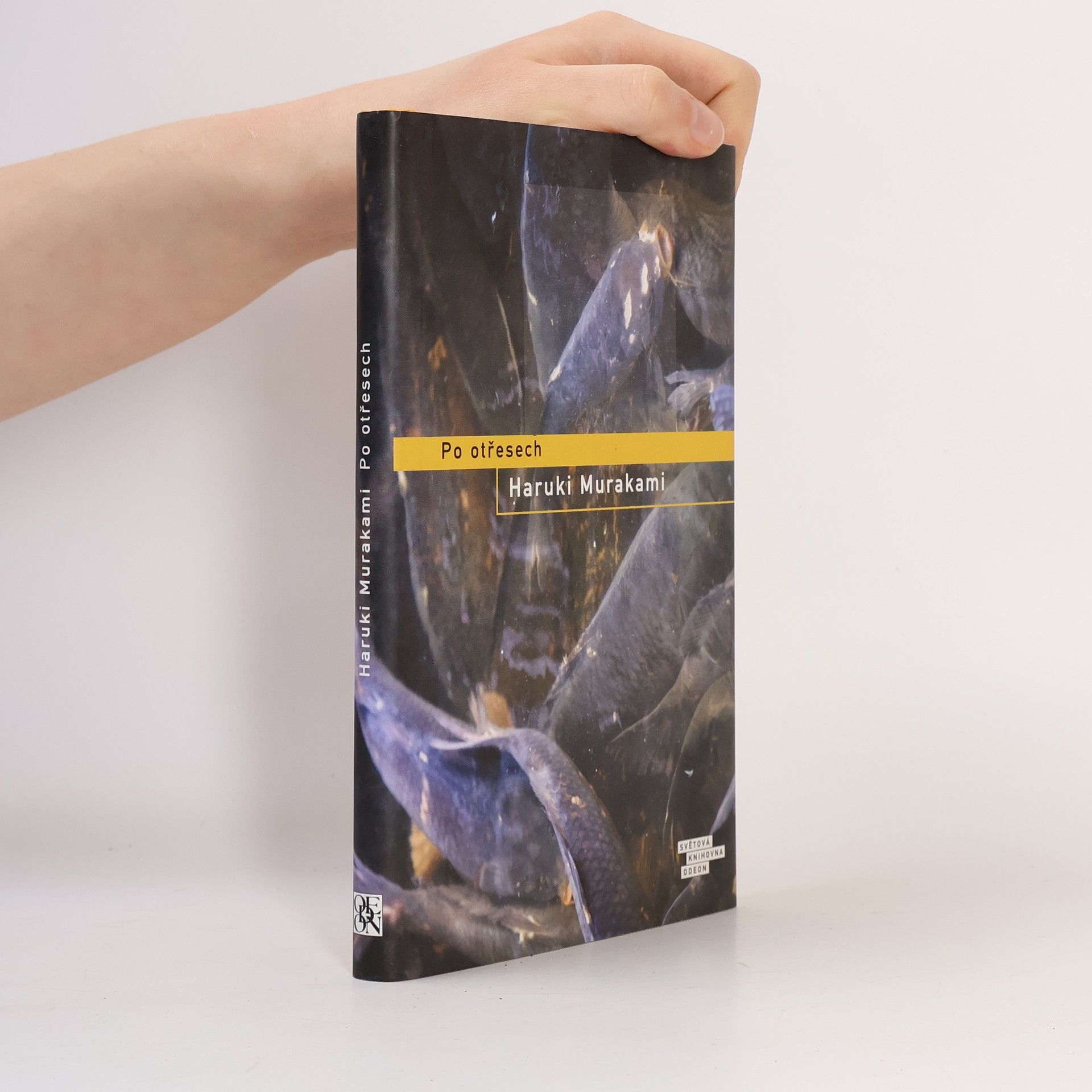Haruki Murakami Po otřesech