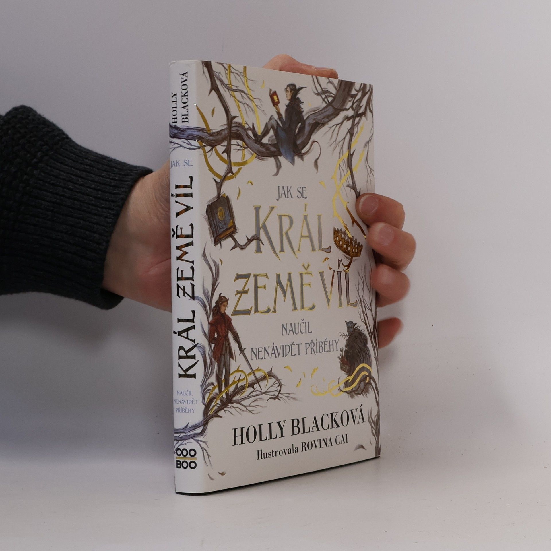 Holly Black Jak se král Země víl naučil nenávidět příběhy