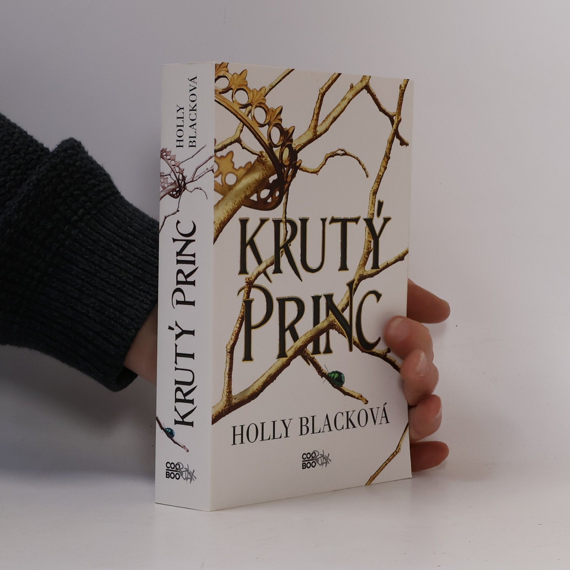 Holly Black Krutý princ