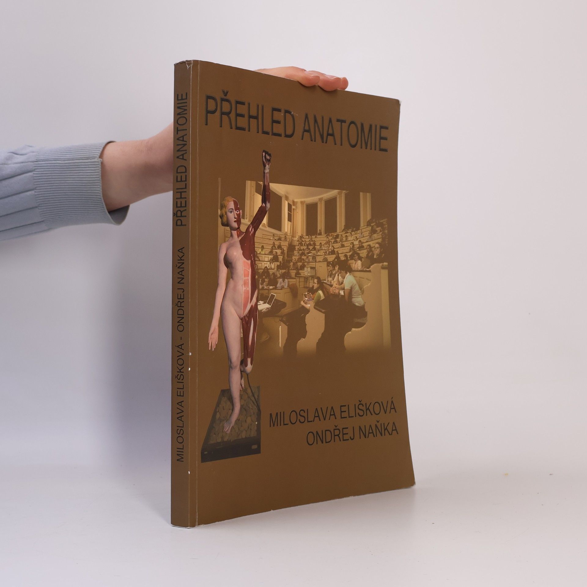 Miloslava Elišková Přehled anatomie