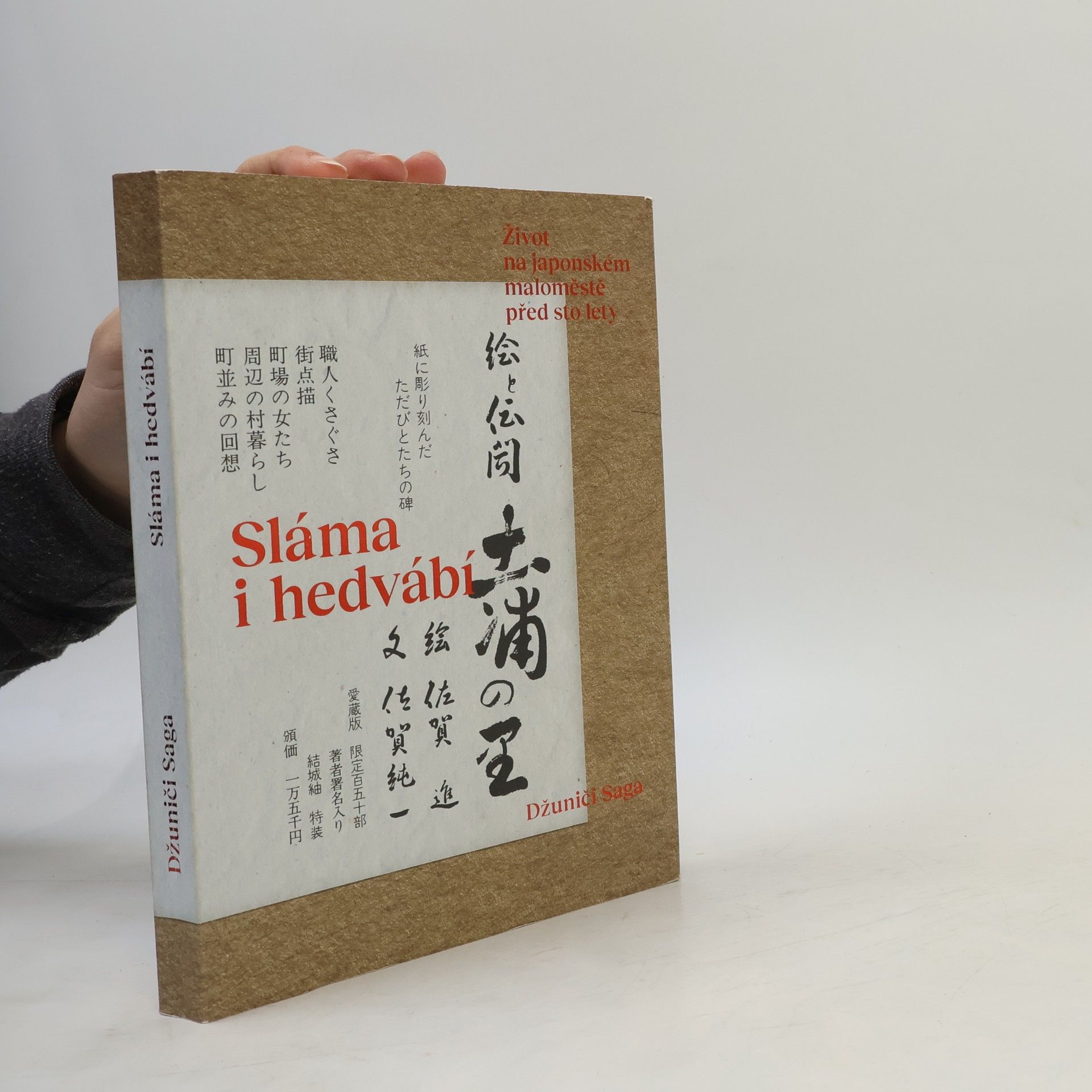 Jun’ichi Saga Sláma i hedvábí: Život na japonském maloměstě před sto lety