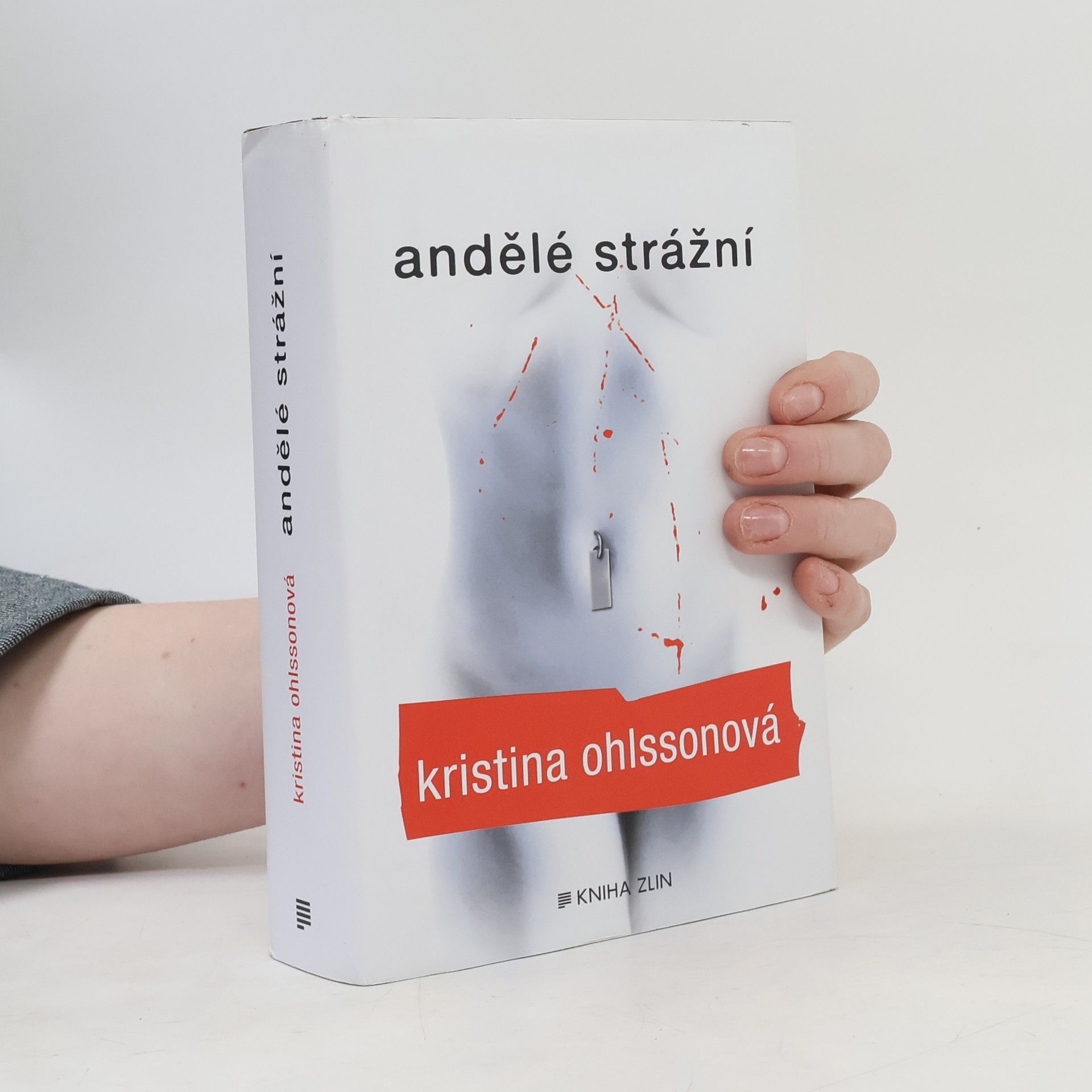 Kristina Ohlsson Andělé strážní