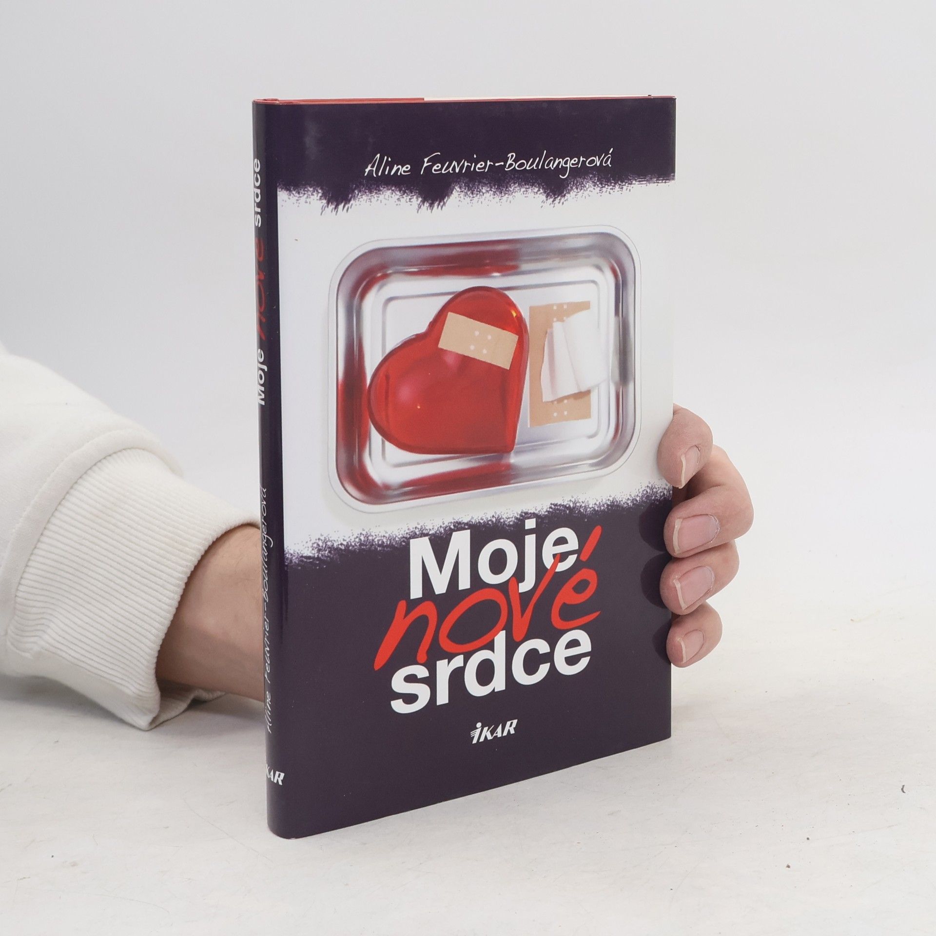 Aline Feuvrier Boulanger Moje nové srdce