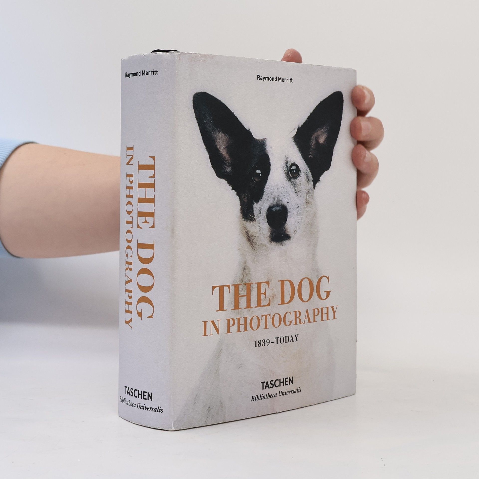 Raymond Merritt The dog in photography 1839-today