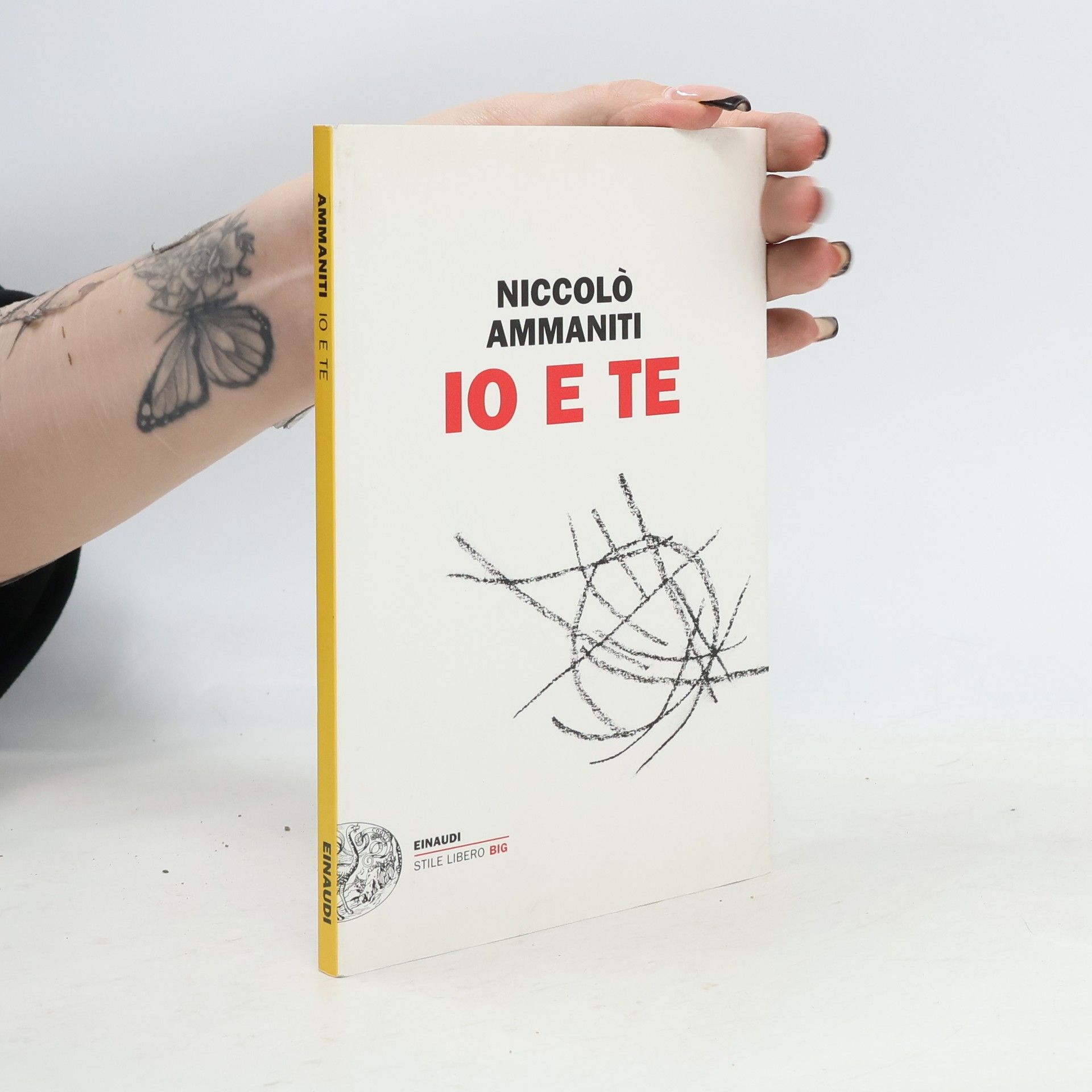 Niccolo Ammaniti Io e te