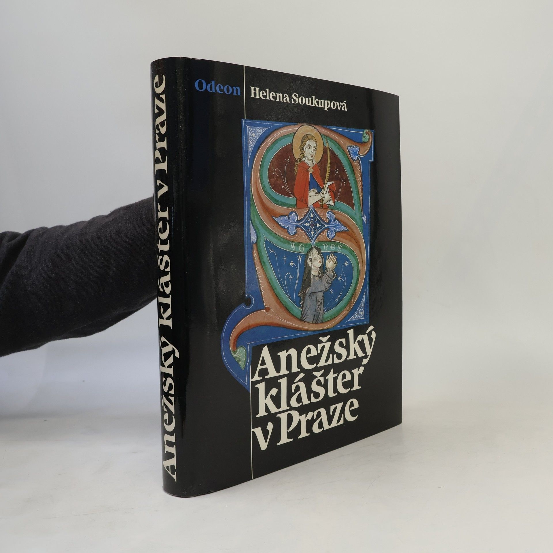 Helena Soukupová Anežský klášter v Praze
