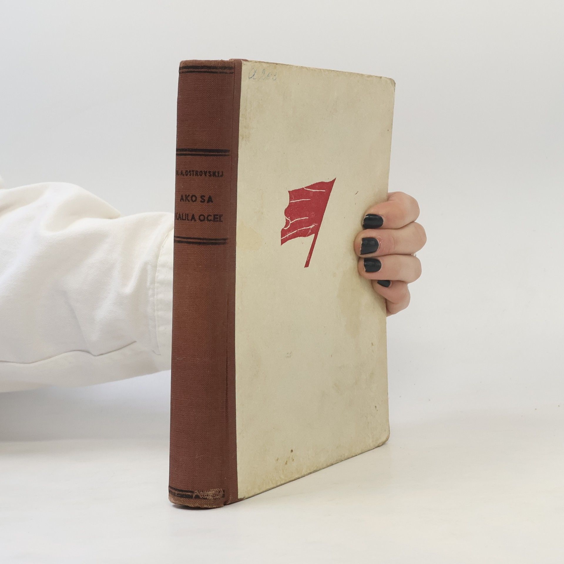 Nikolaj Alexejevič Ostrovskij Ako sa kalila oceľ